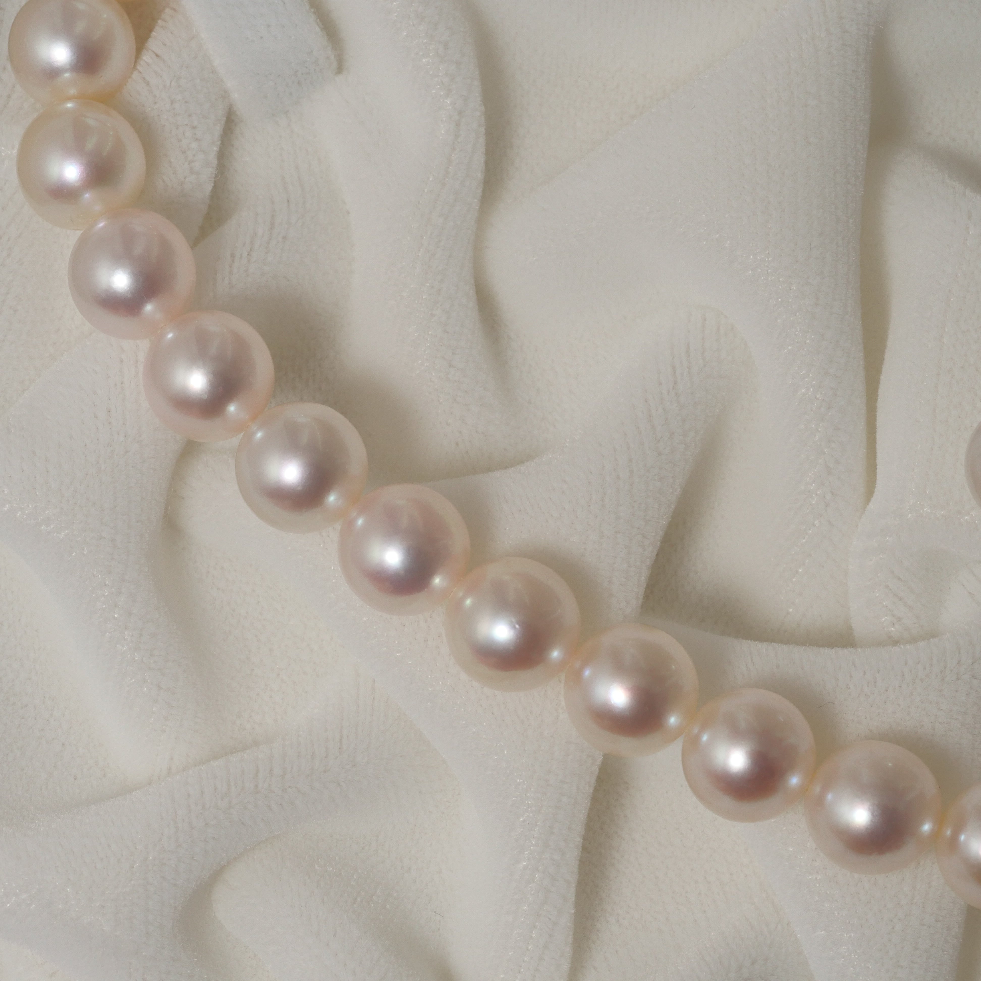 パール ネックレス 8-8.5mm