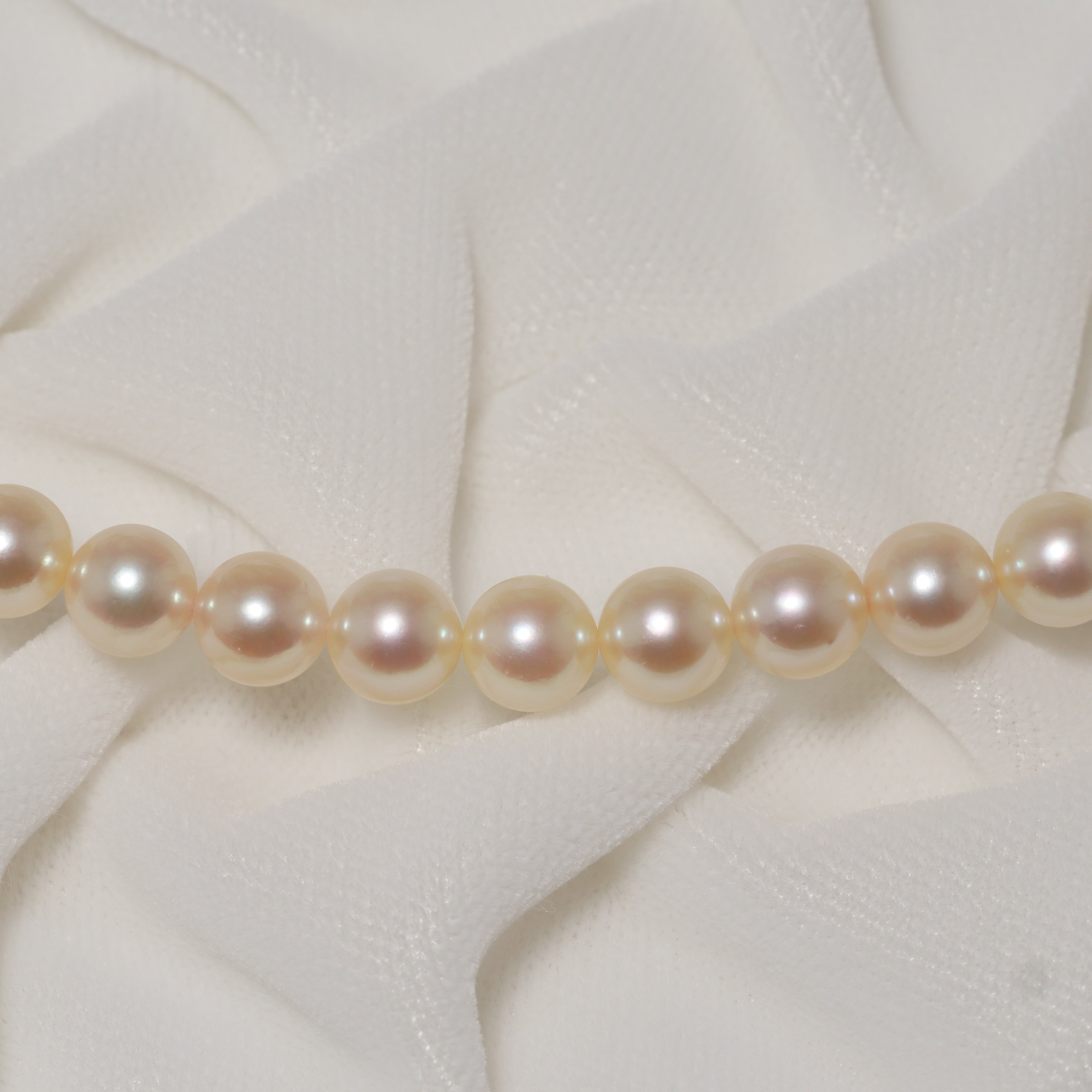 パール ネックレス 6.5-7mm