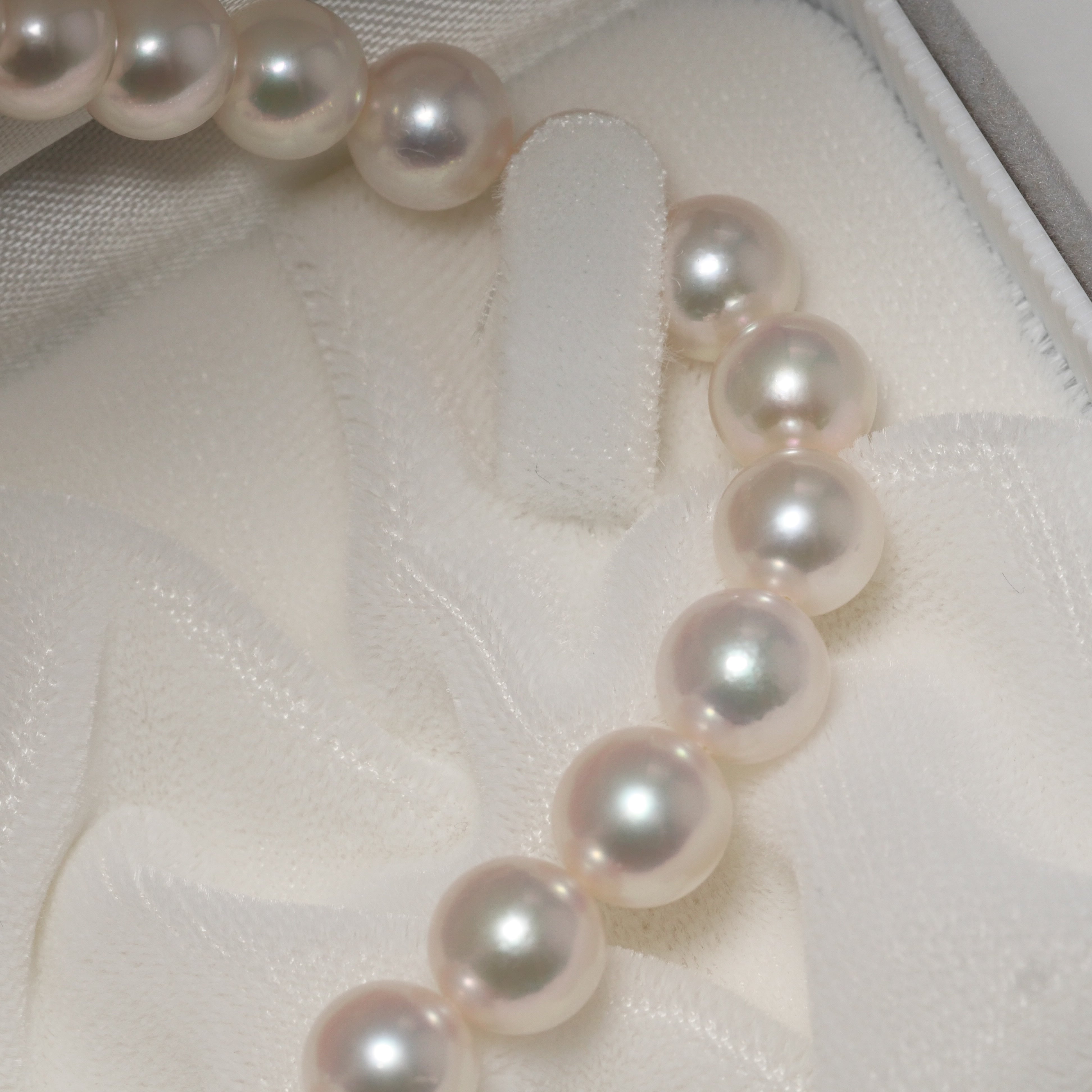 パール ネックレス 7.5-8mm