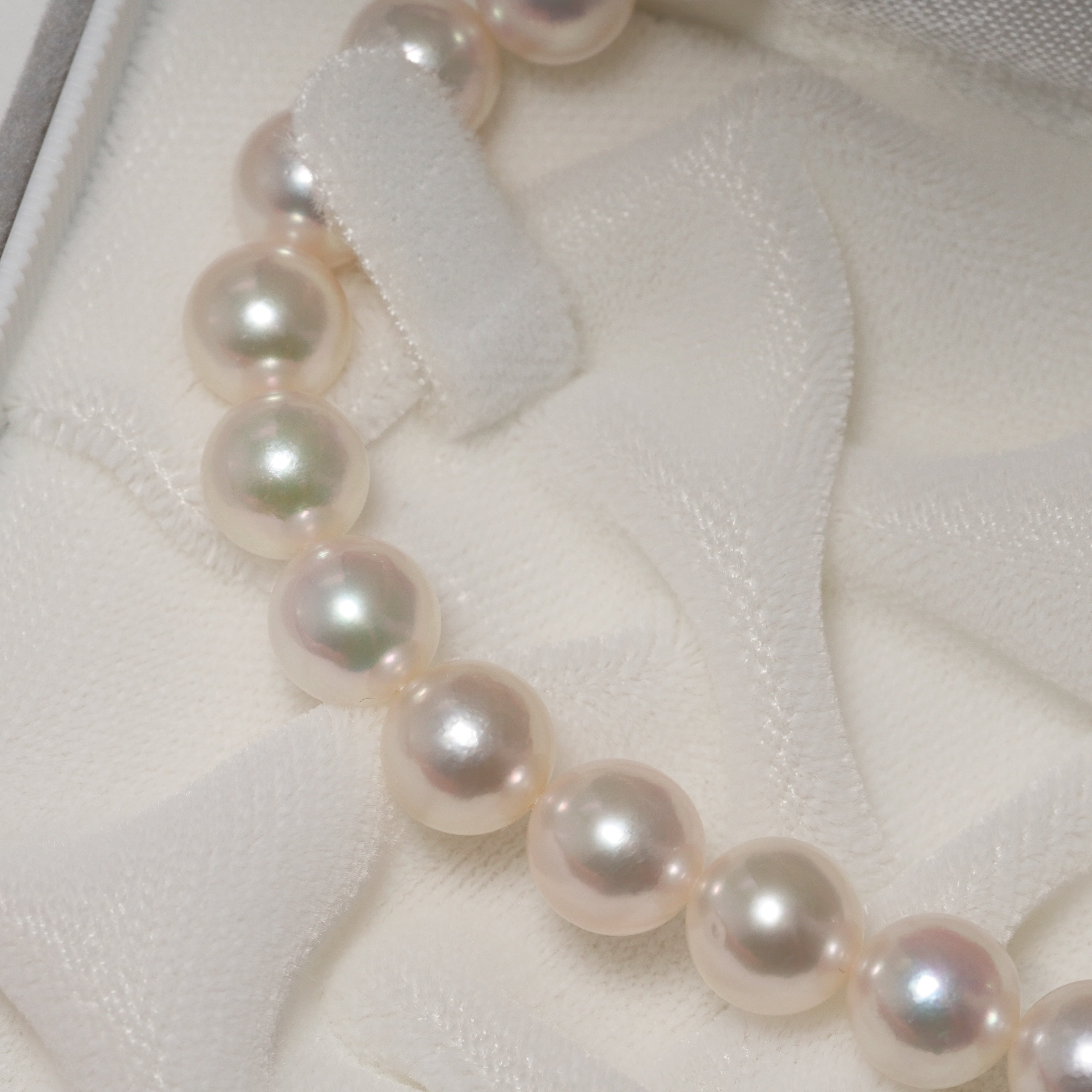 パール ネックレス 7.5-8mm