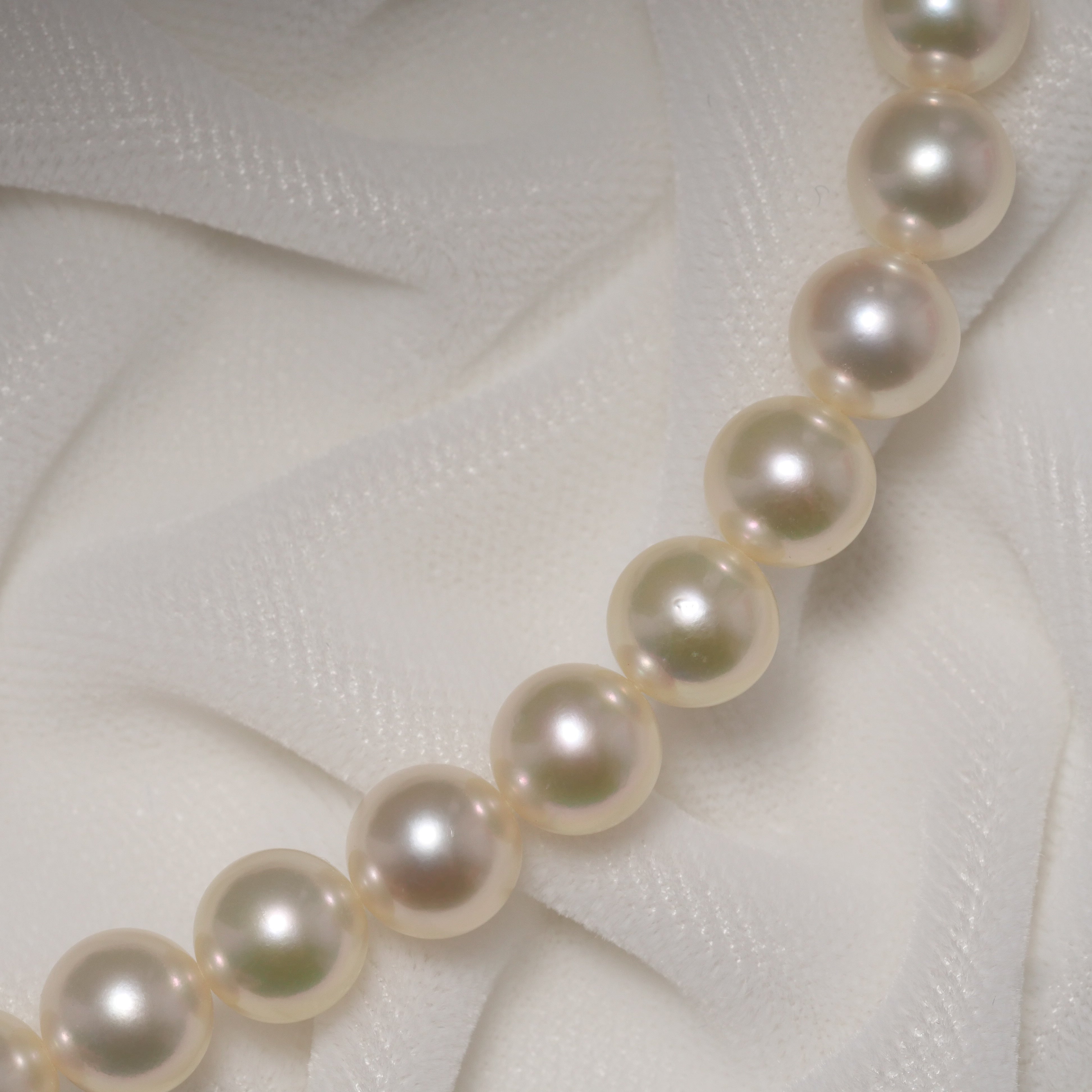 パール ネックレス 7.5-8mm