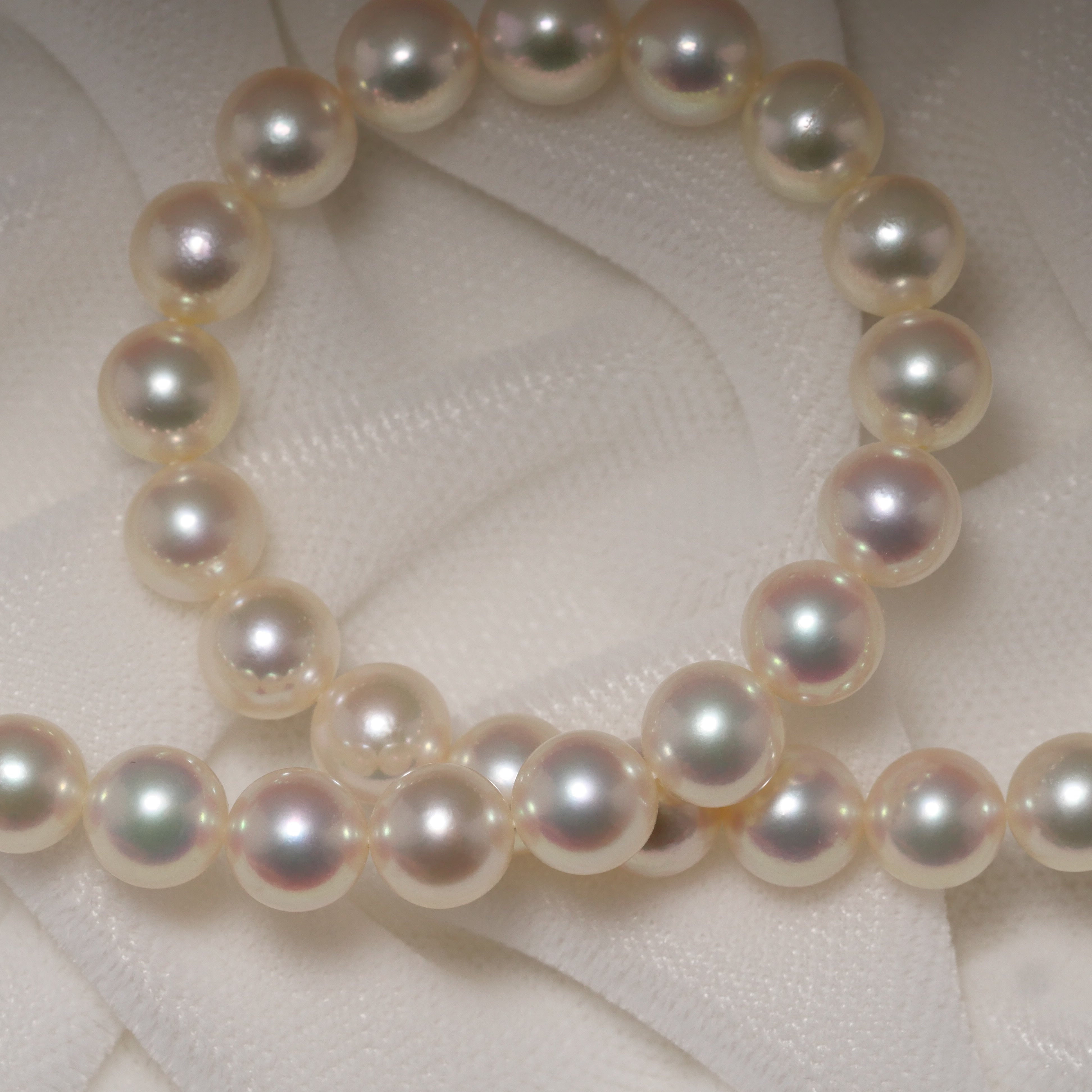 パール ネックレス 6-6.5mm 50cm+10cm