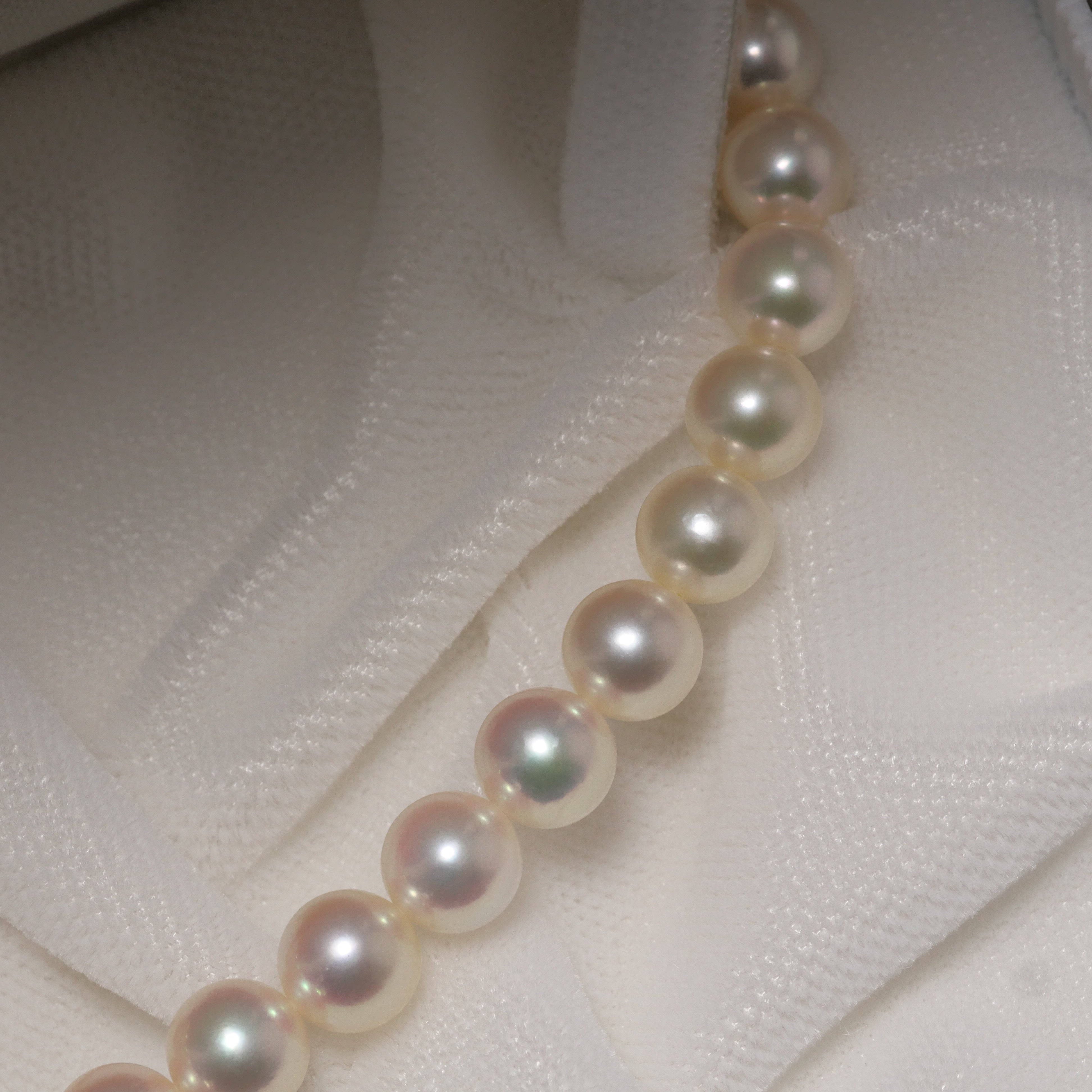 パール ネックレス 6-6.5mm 50cm+10cm