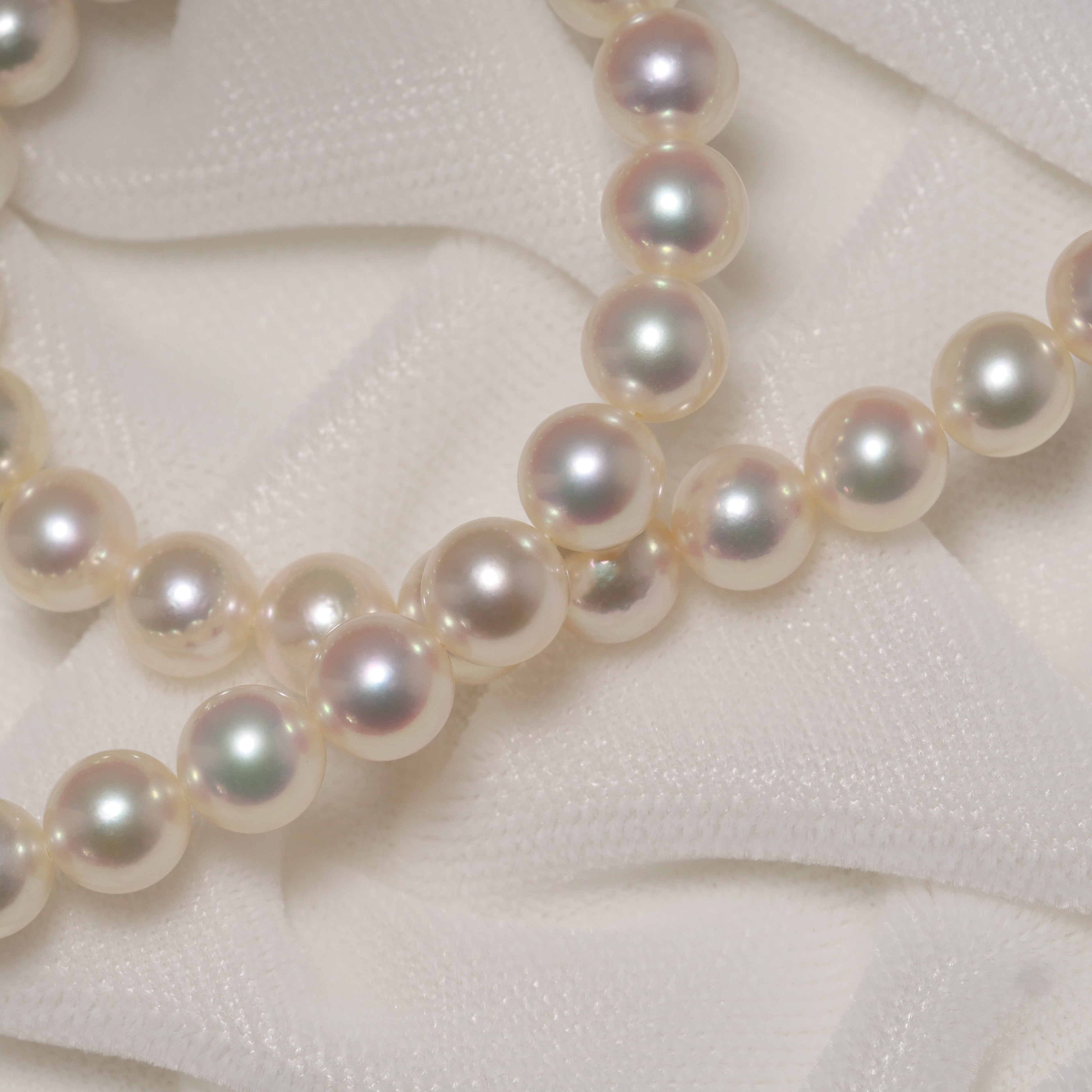 パール ネックレス 6-6.5mm 50cm+10cm