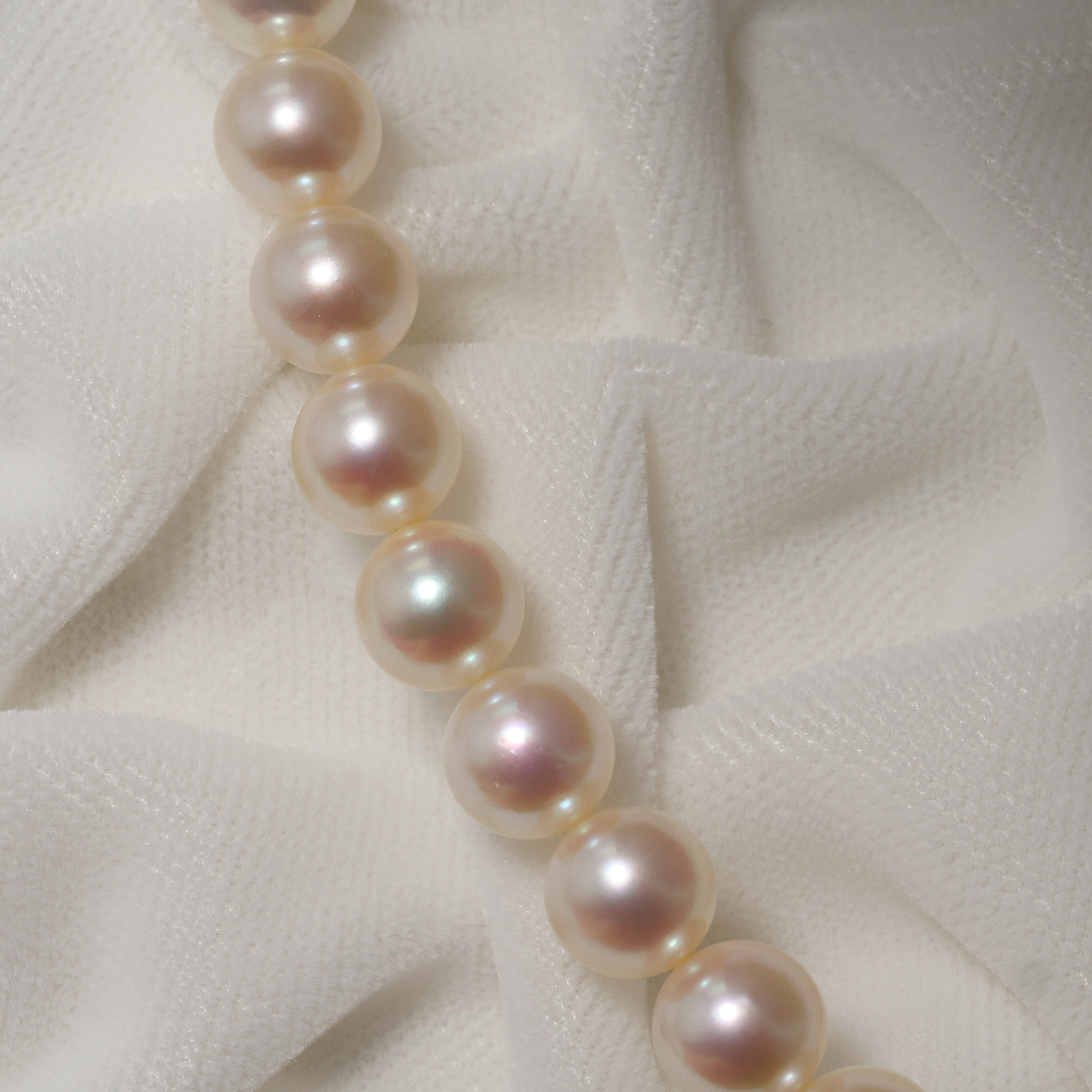 パール ネックレス 7.5-8mm