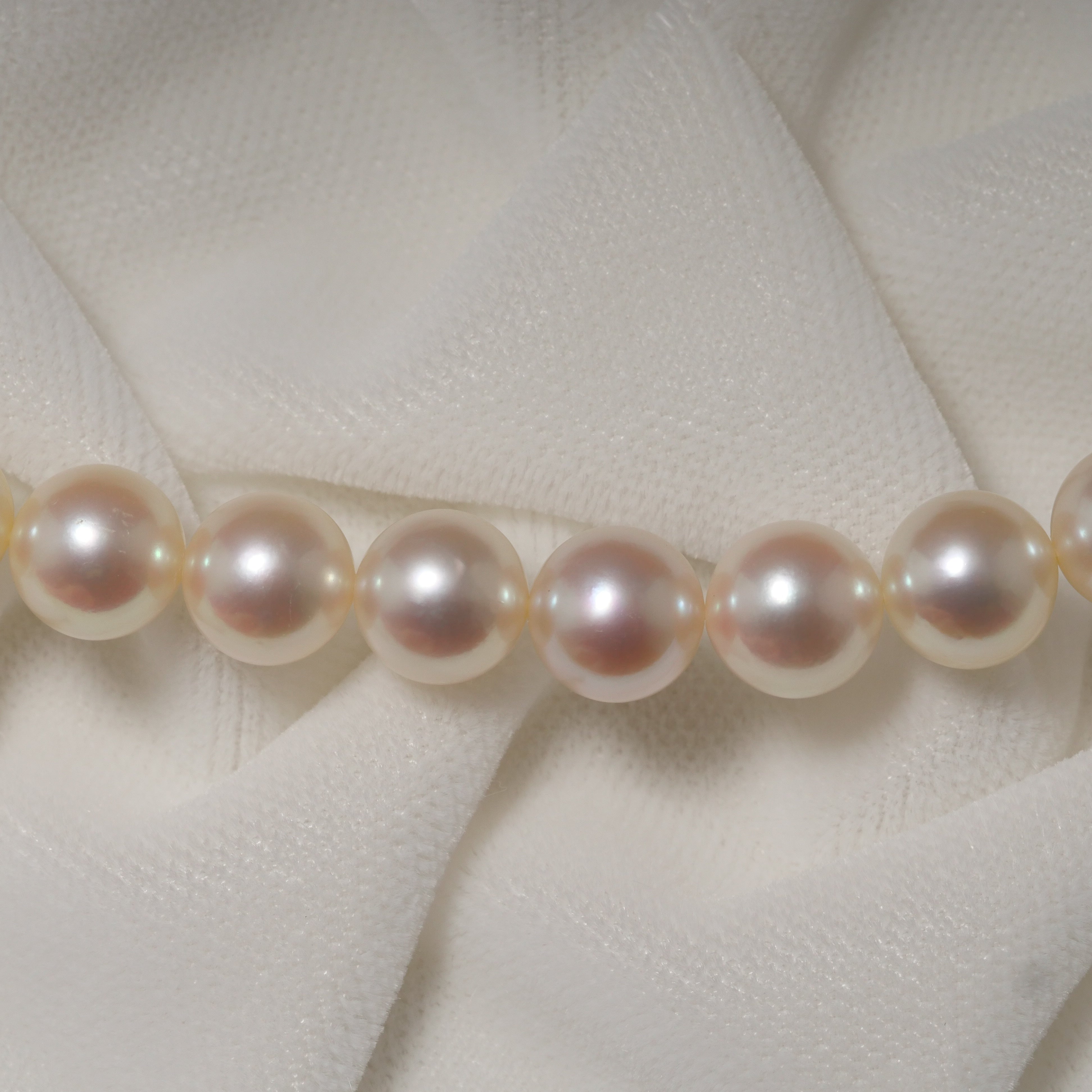 パール ネックレス 7.5-8mm