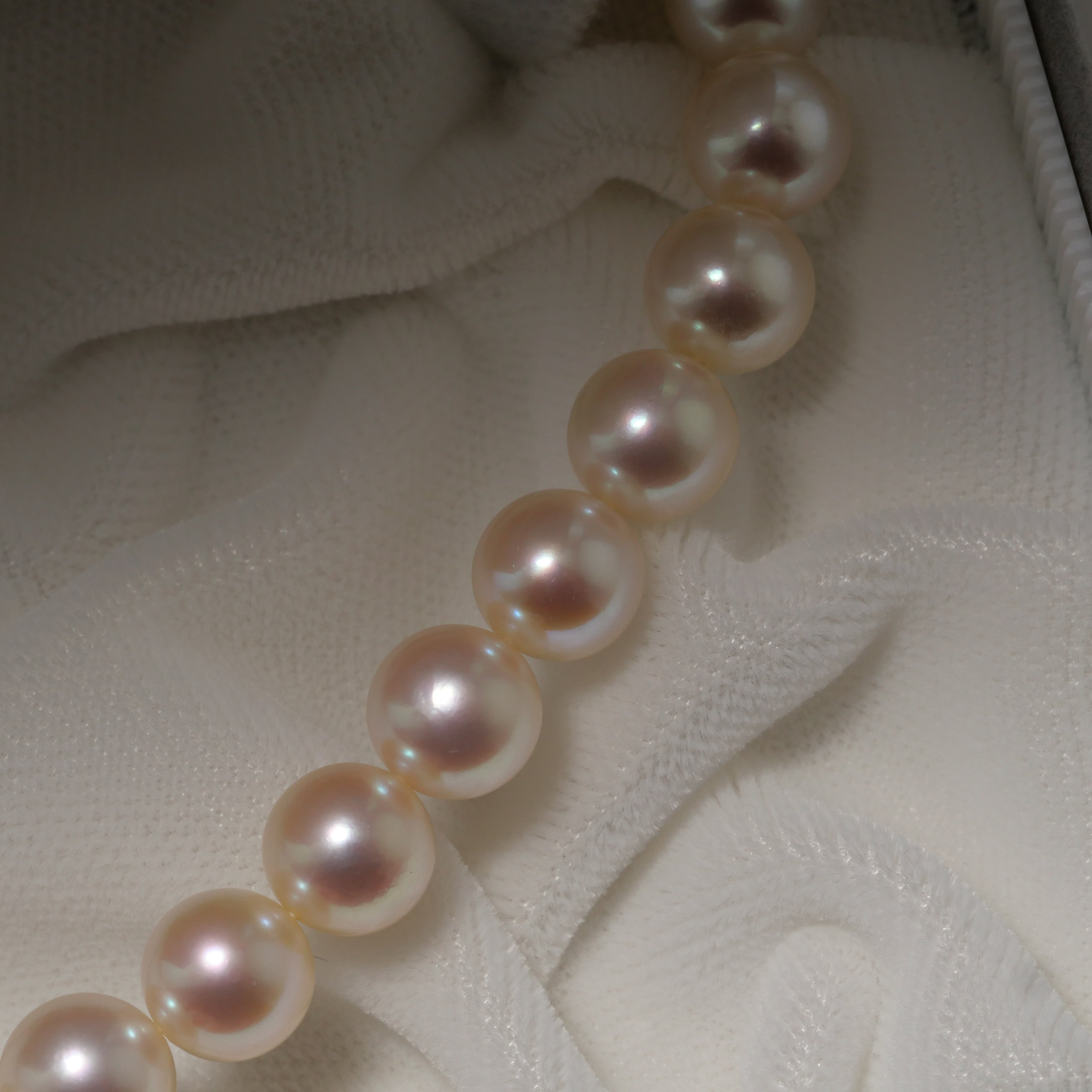 パール ネックレス 7.5-8mm