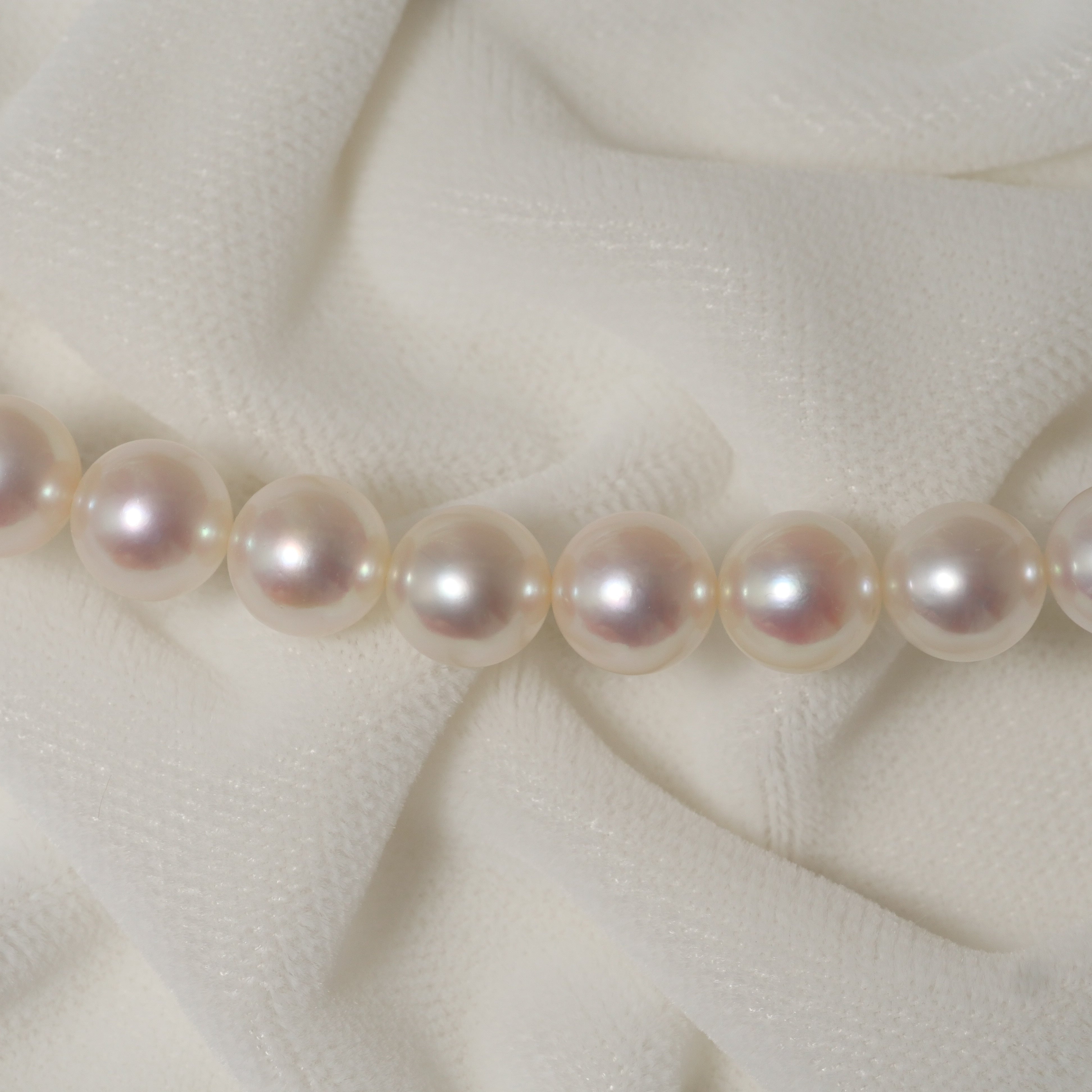 パール ネックレス 7-7.5mm