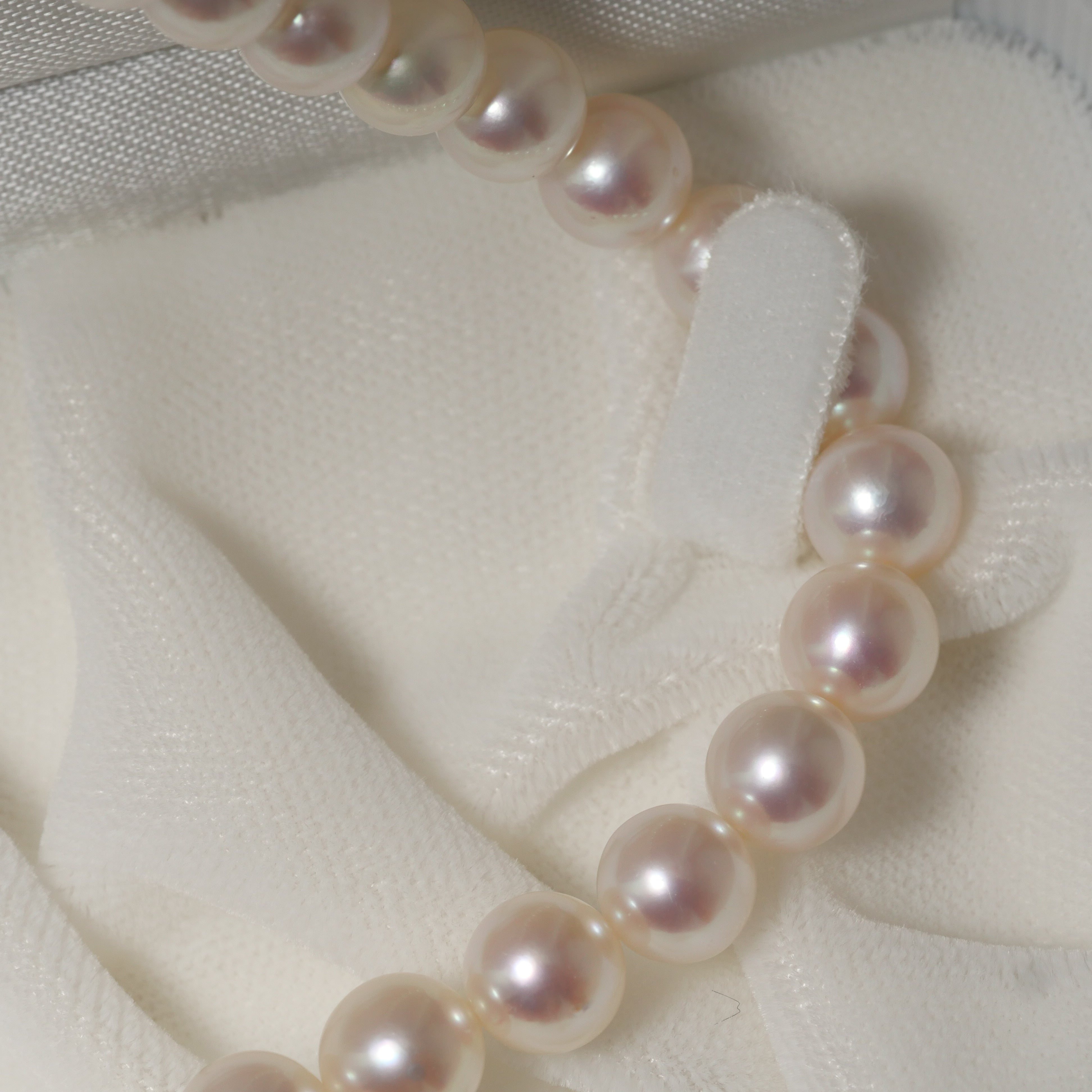 パール ネックレス 7-7.5mm