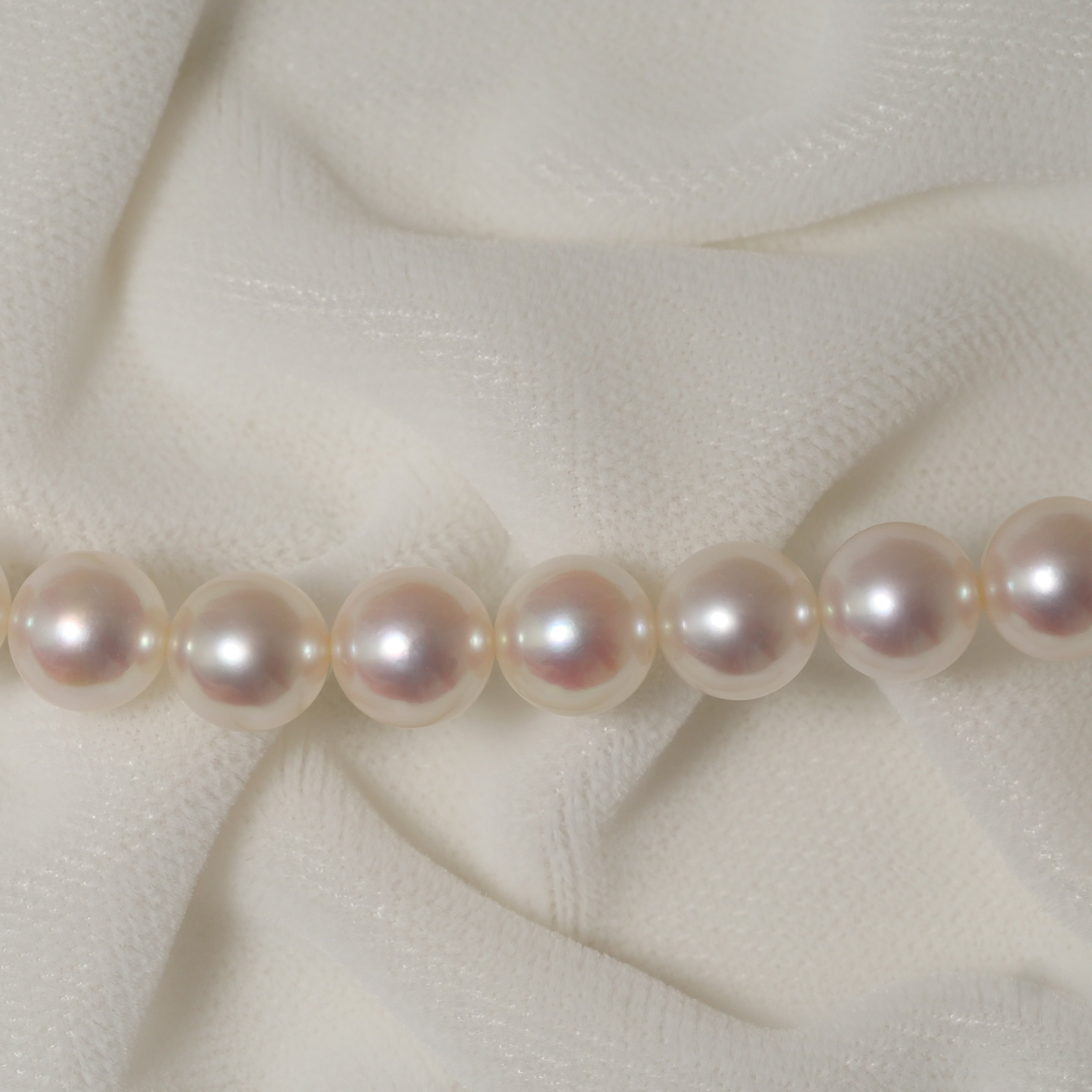 パール ネックレス 7-7.5mm