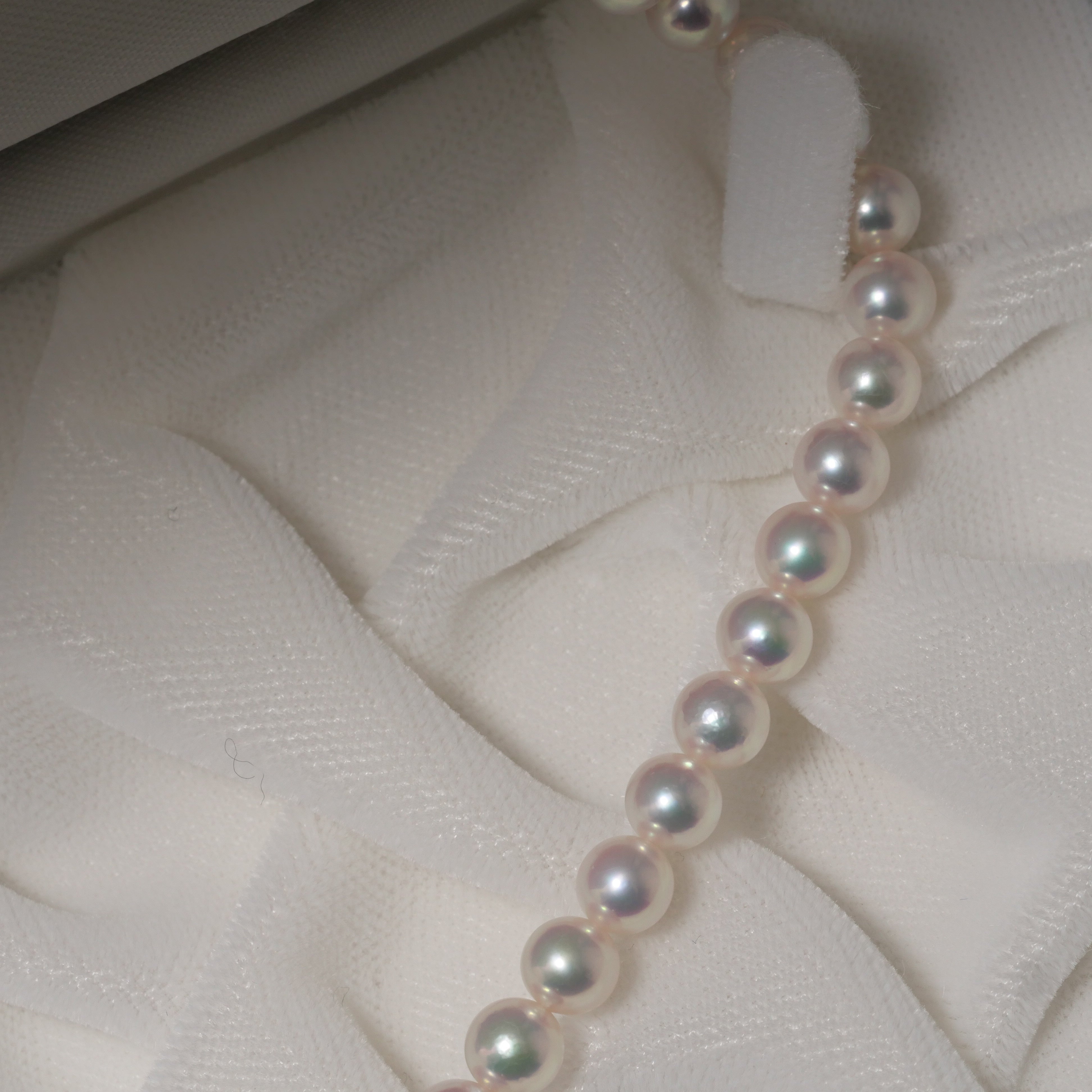 パール ネックレス 5-5.5mm