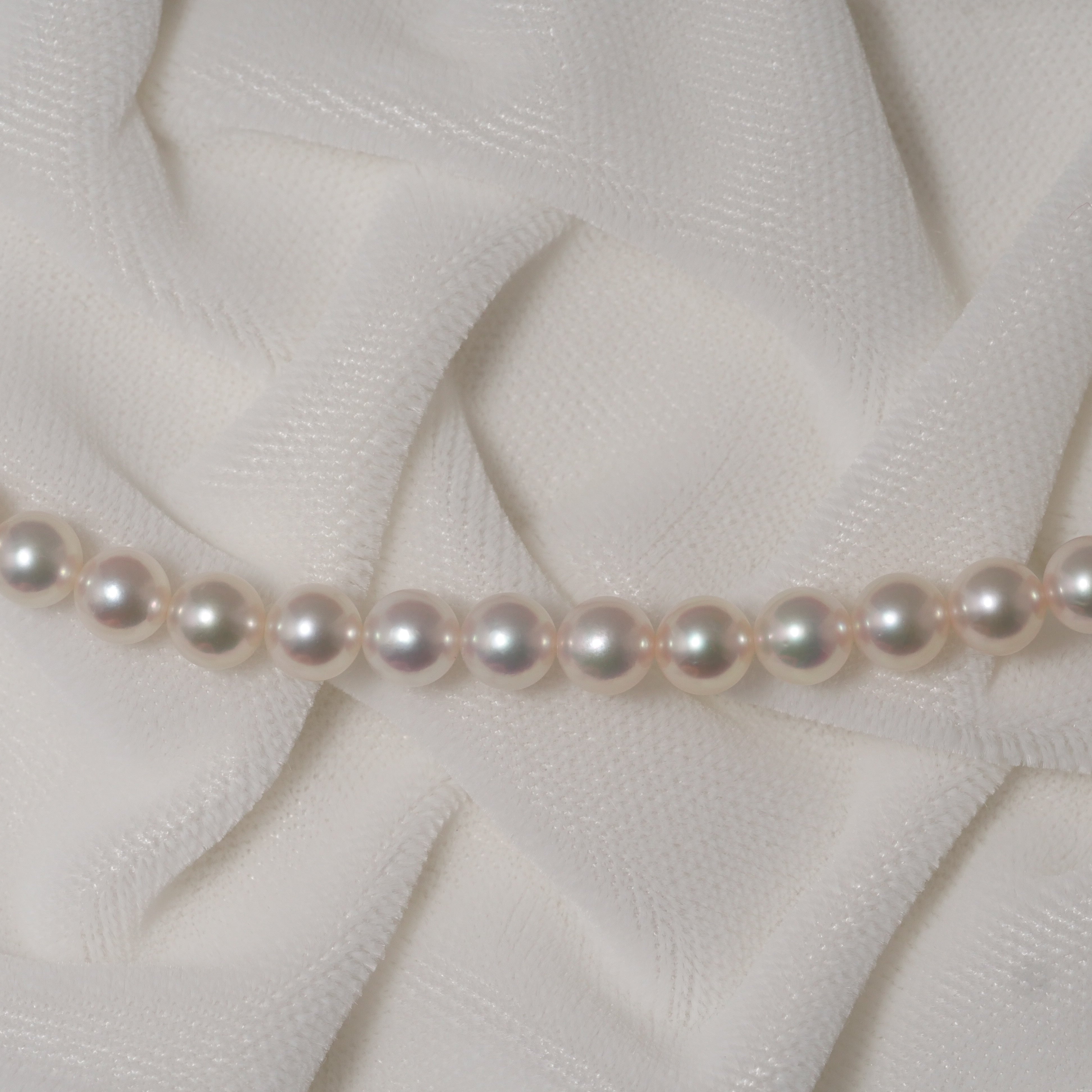 パール ネックレス 5-5.5mm