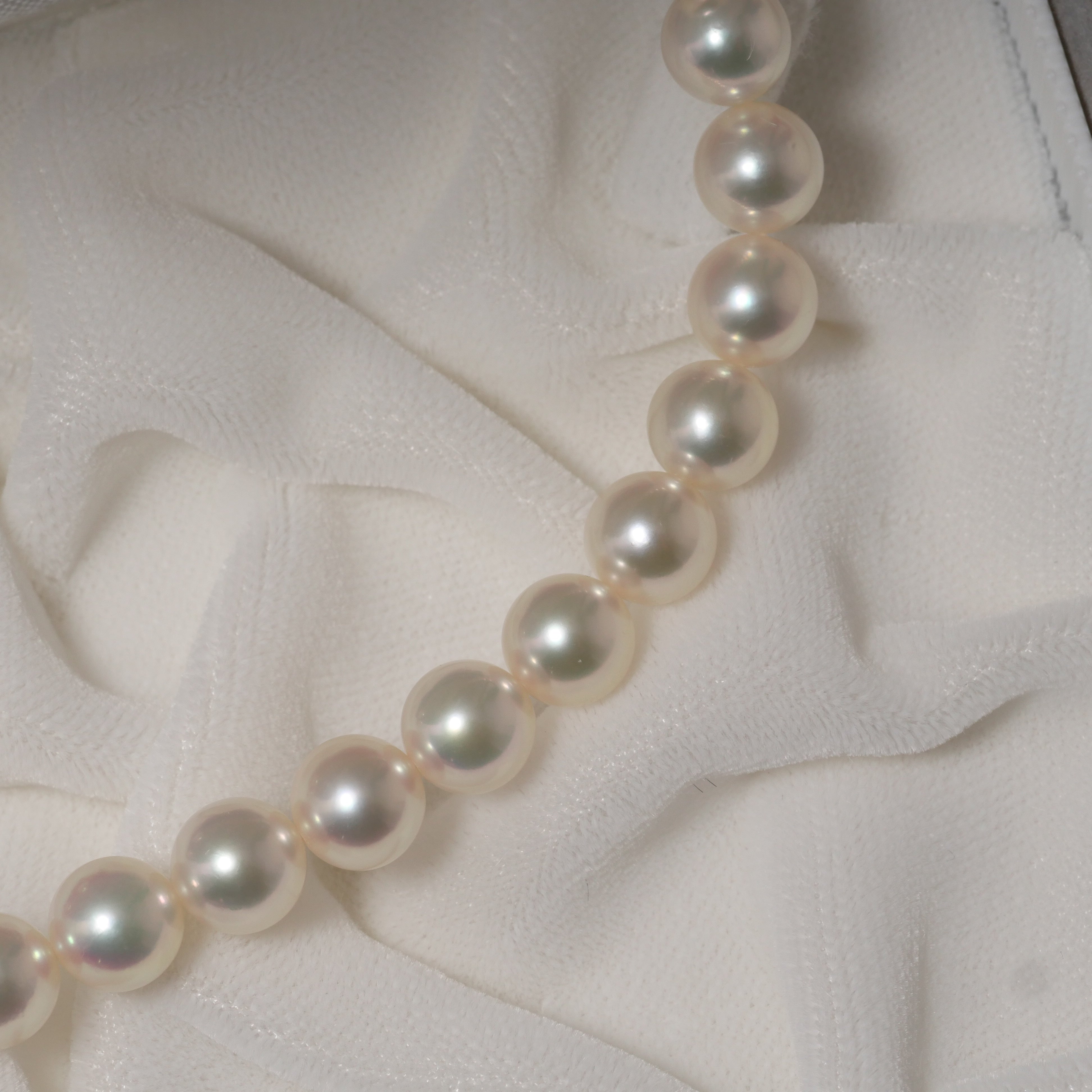 パール ネックレス 7-7.5mm