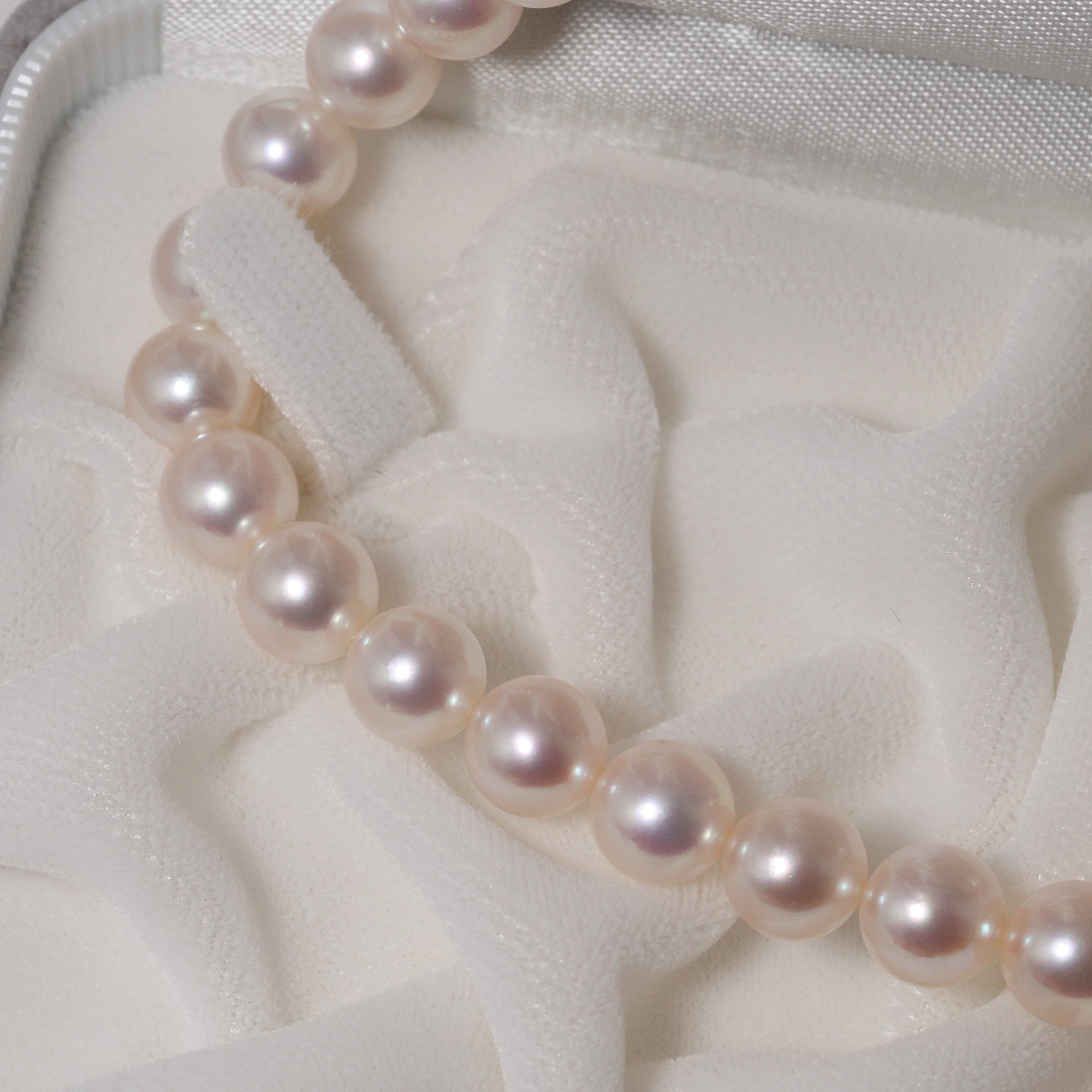 パール ネックレス 7.5-8mm