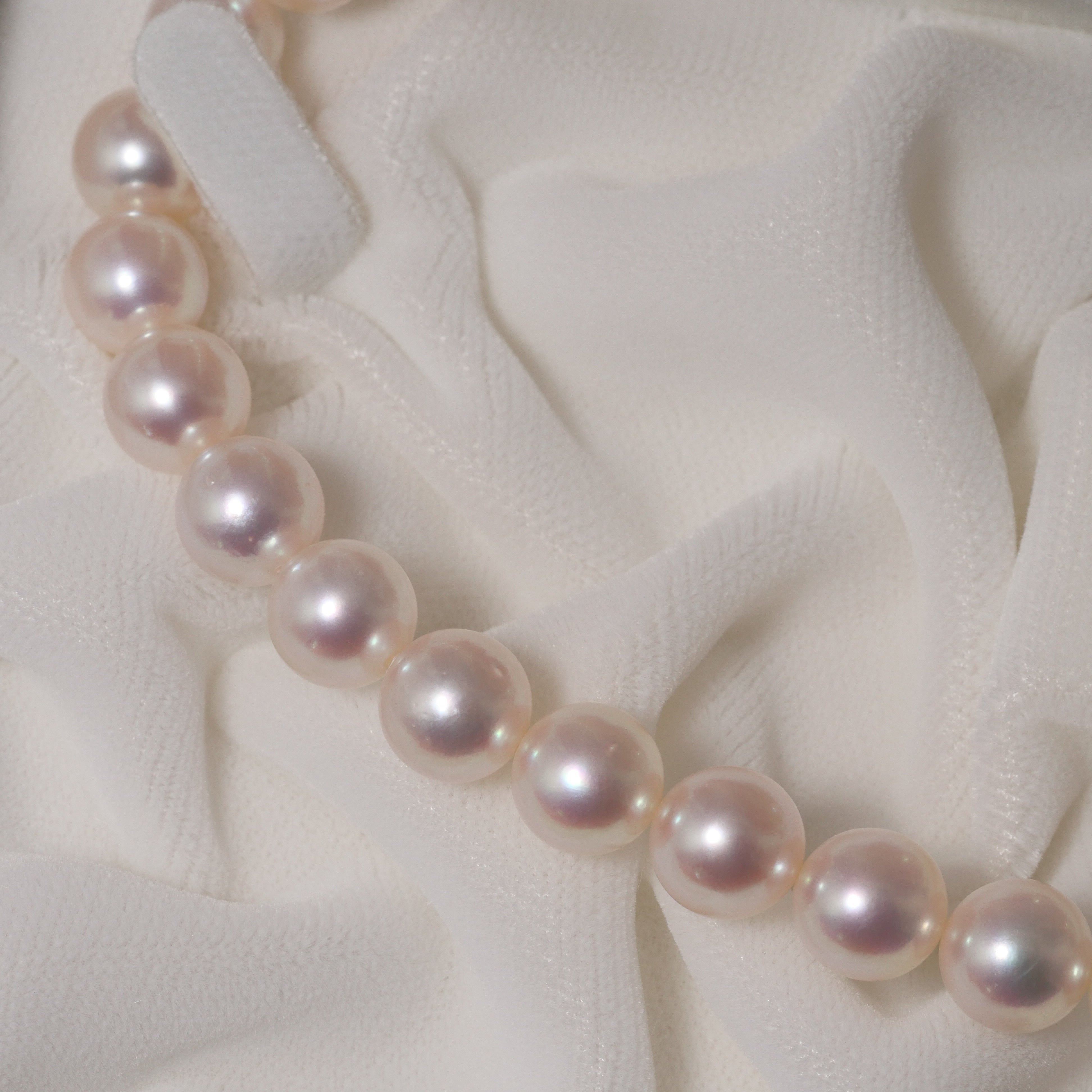 パール ネックレス 8-8.5mm