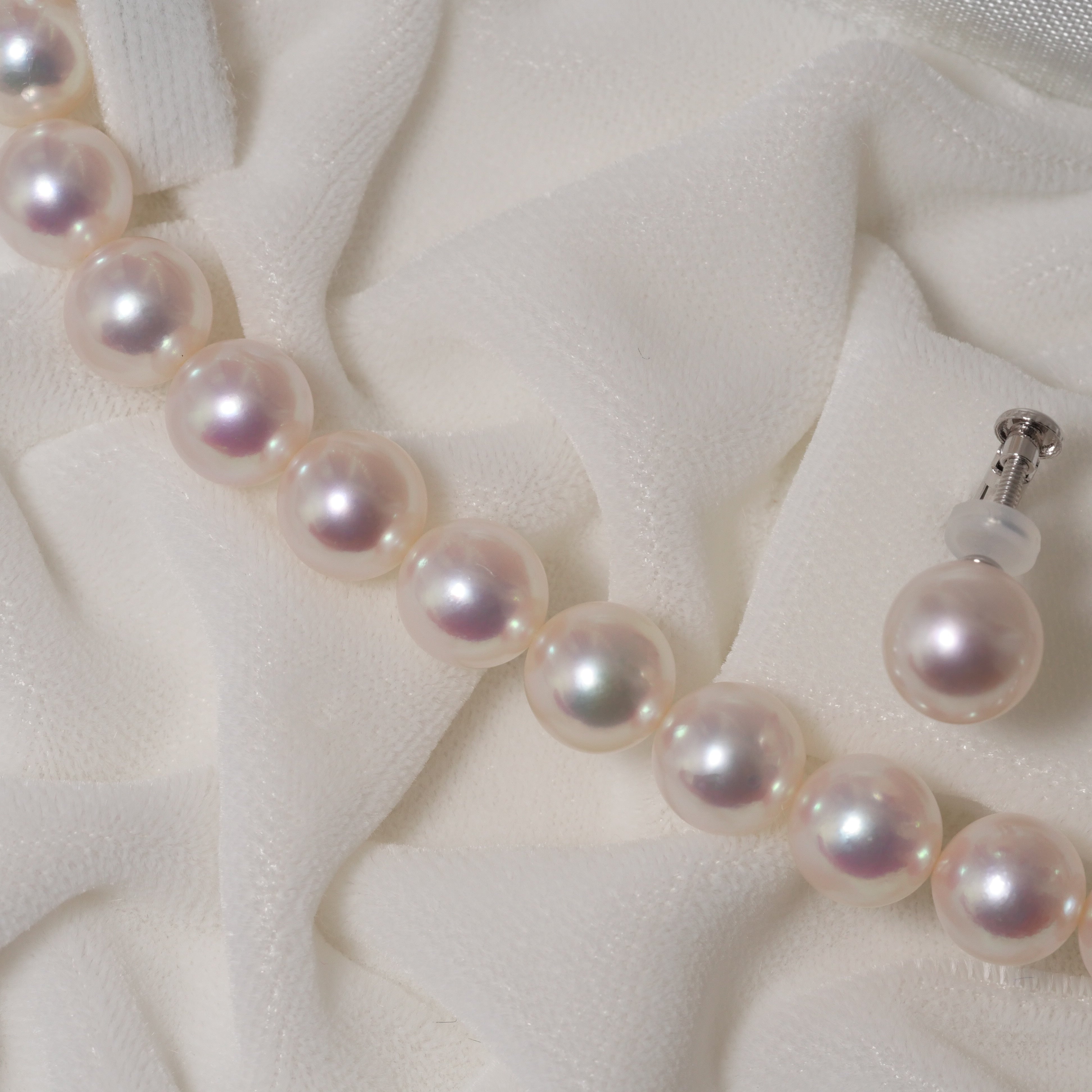 パール ネックレス 8-8.5mm