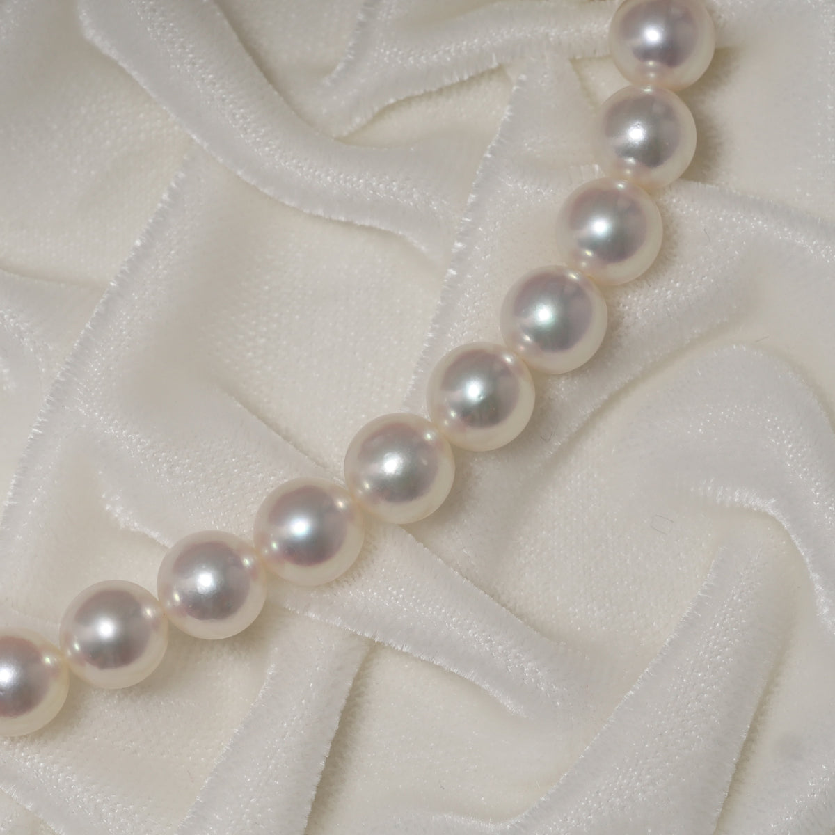 パール ネックレス 7.5-8mm