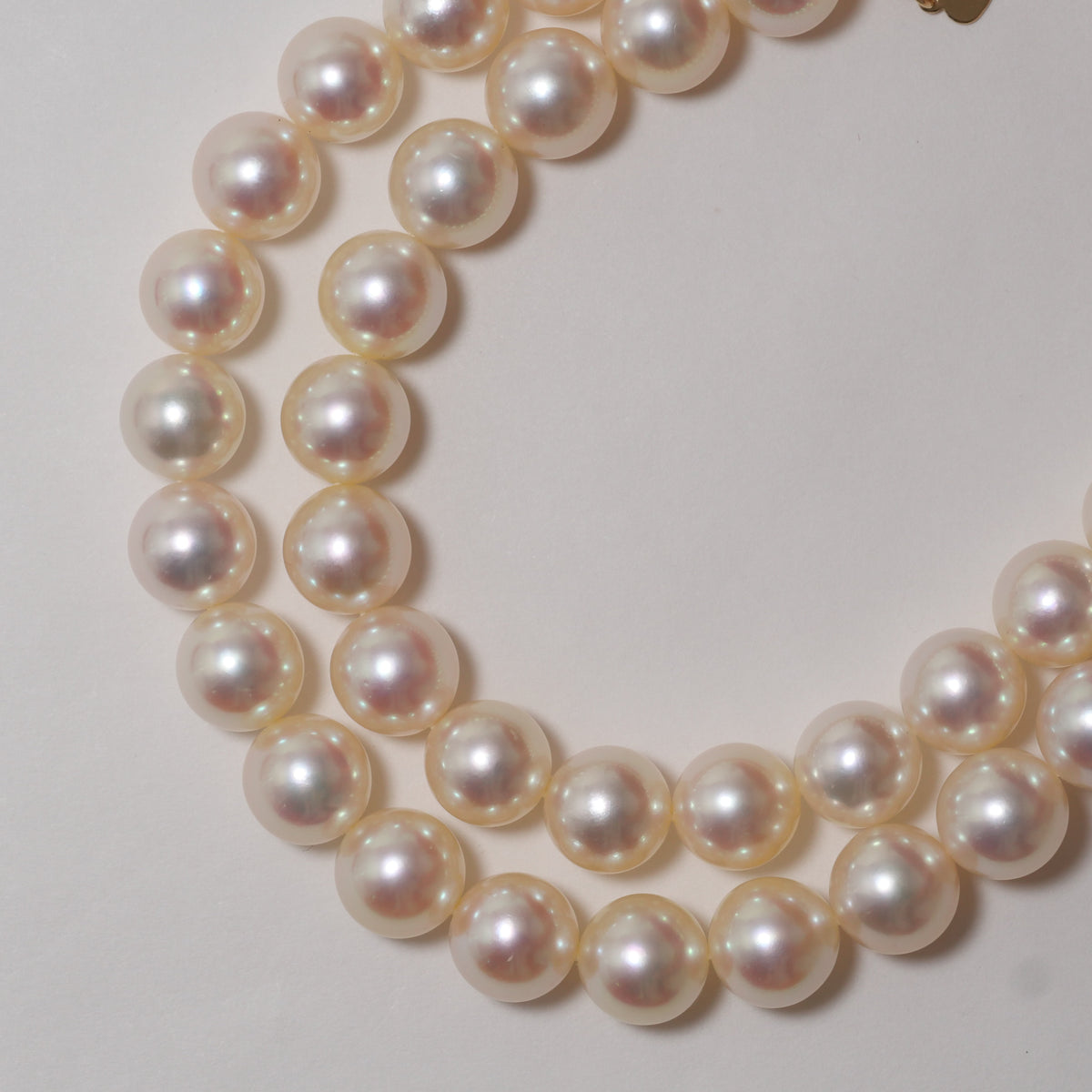 パール ネックレス 7.5-8mm