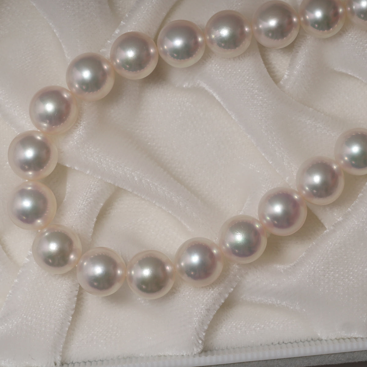 パール ネックレス 8-8.5mm