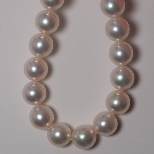 PEARL ( パール )
PCJ-633BB ブームボックスカホン パール ネックレス 8.5-9mm