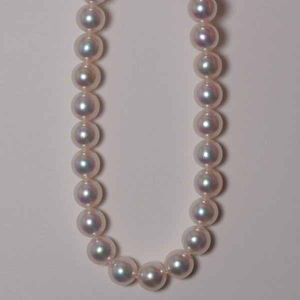 ☆Y.A.Acc/パールネックレス☆todayful 楽天市場】あこや真珠 パール ネックレス 7.5mm アコヤ真珠