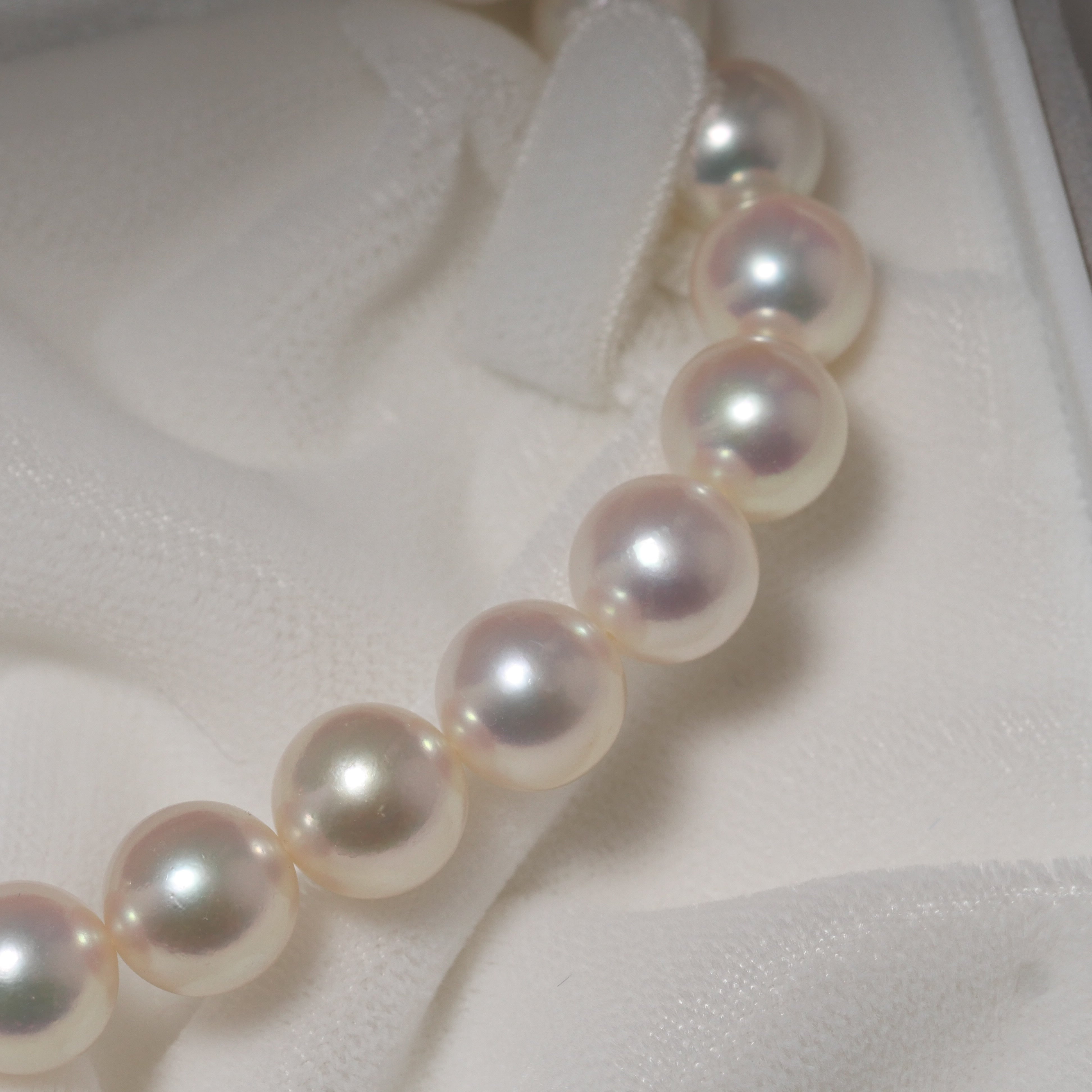 パール ネックレス 8-8.5mm