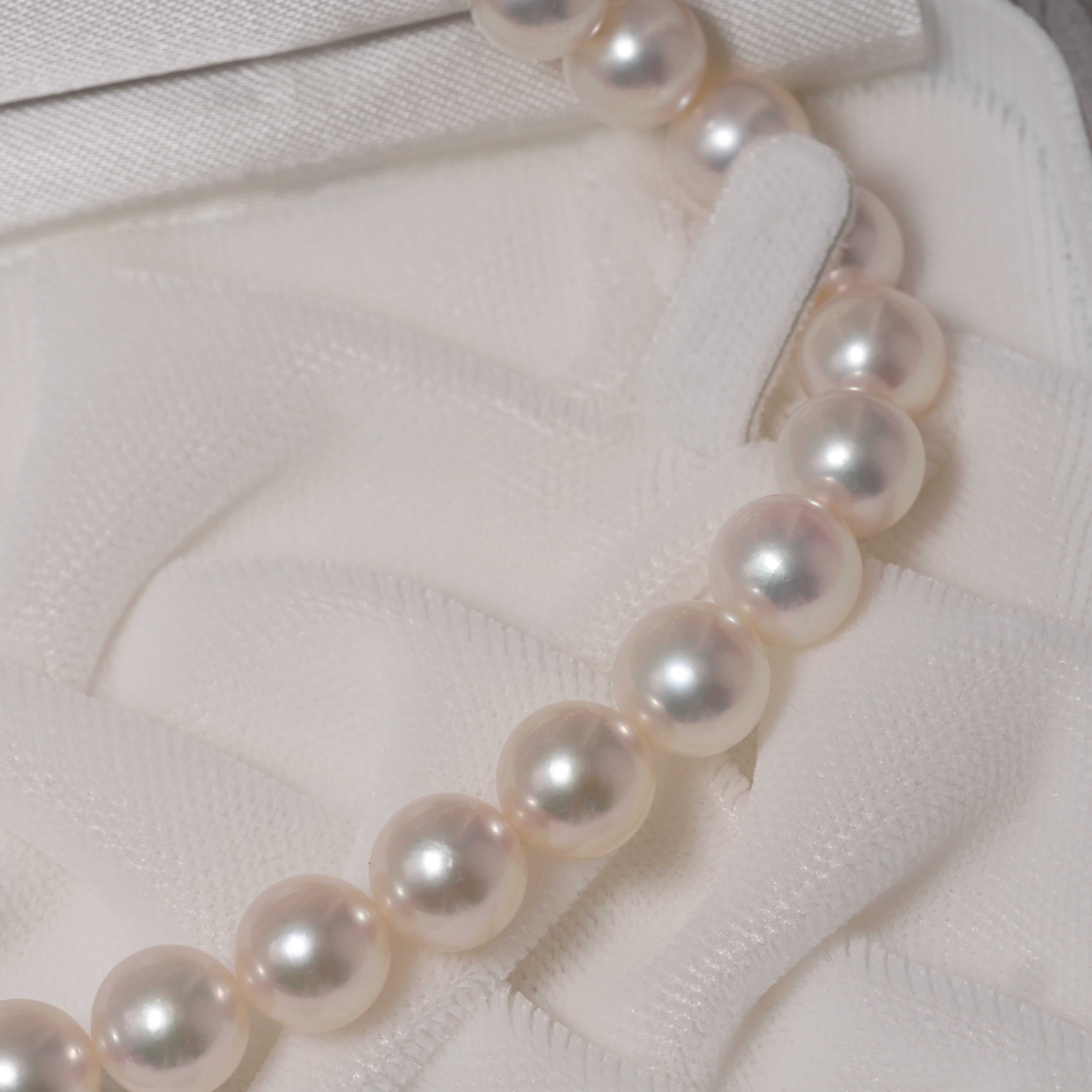 パール ネックレス 8-8.5mm