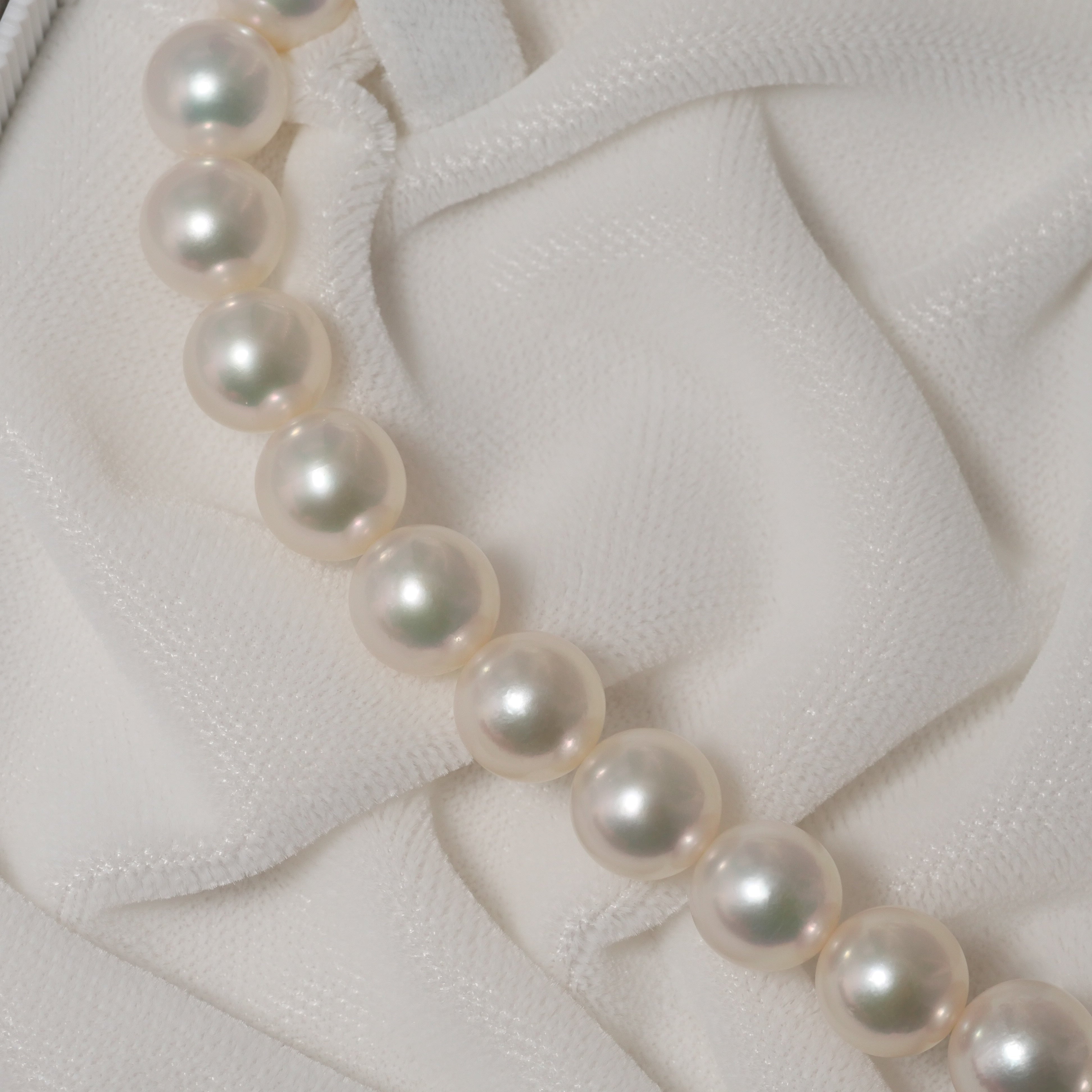 パール ネックレス 8-8.5mm