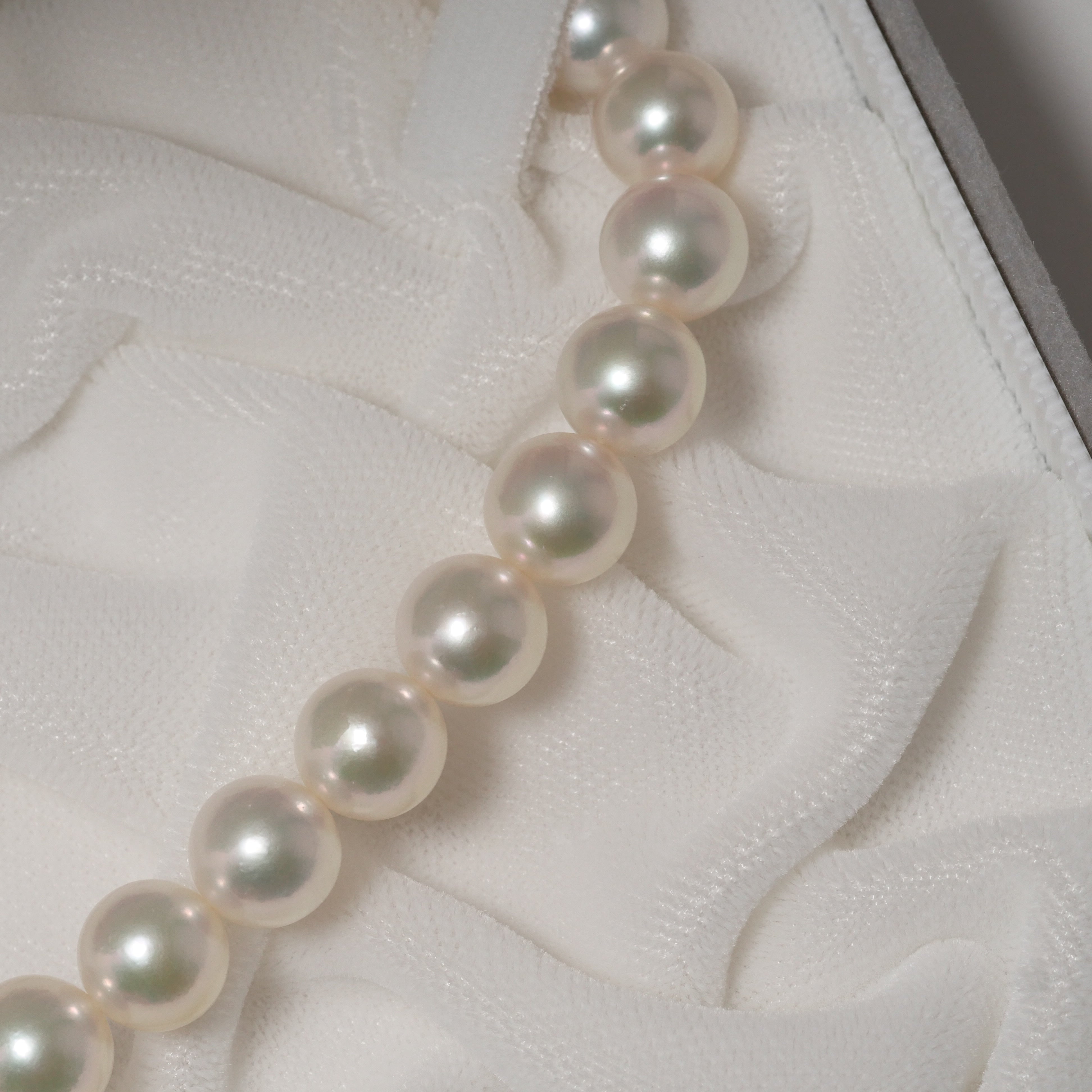 パール ネックレス 8-8.5mm