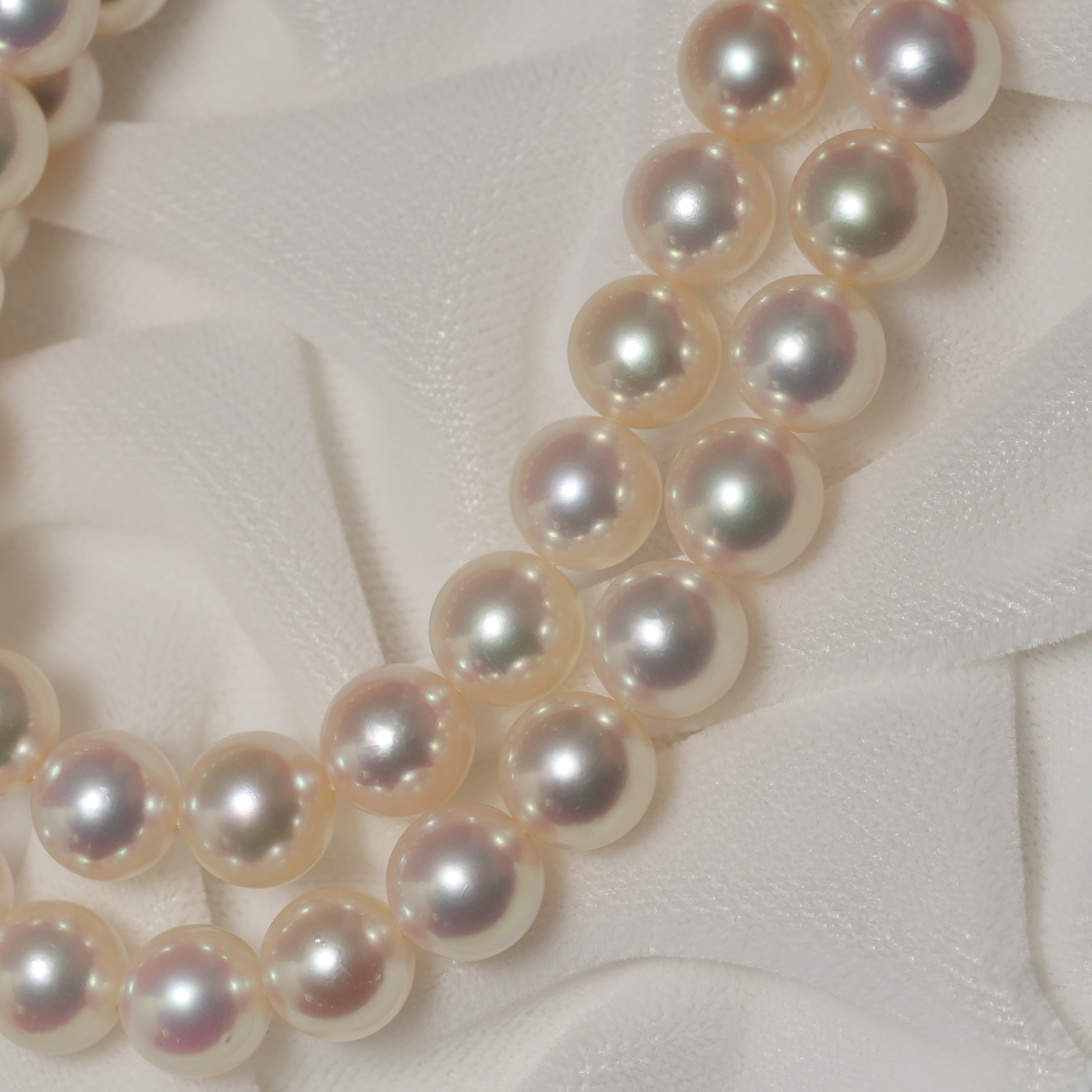 パール ネックレス 8-8.5mm