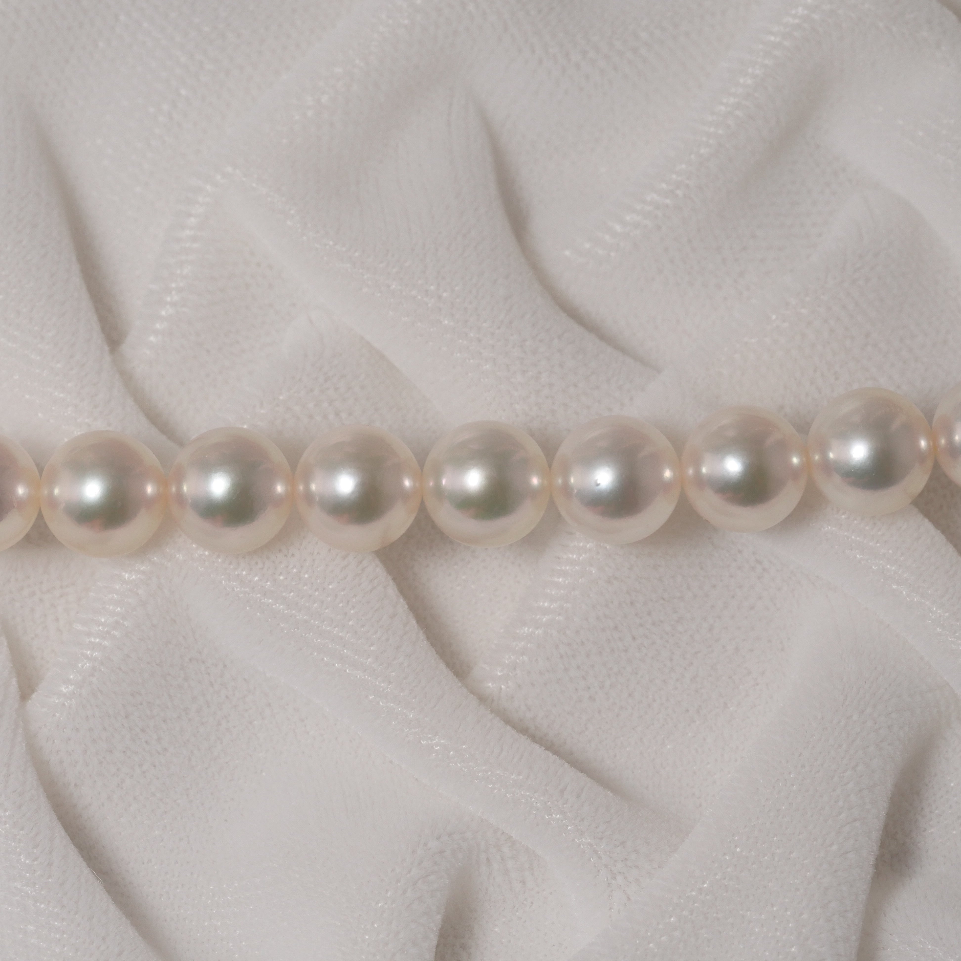 パール ネックレス 7.5-8mm