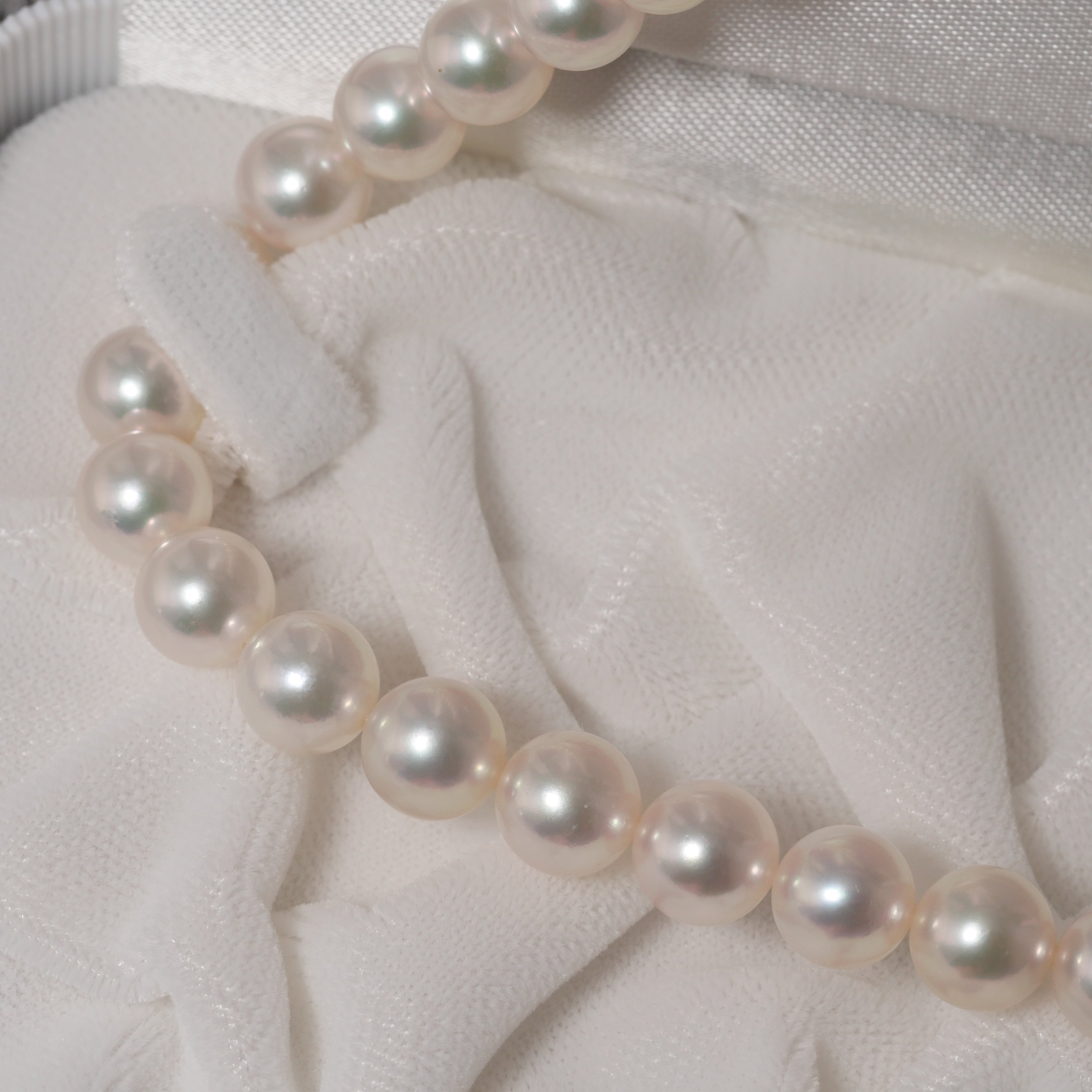 パール ネックレス 7.5-8mm