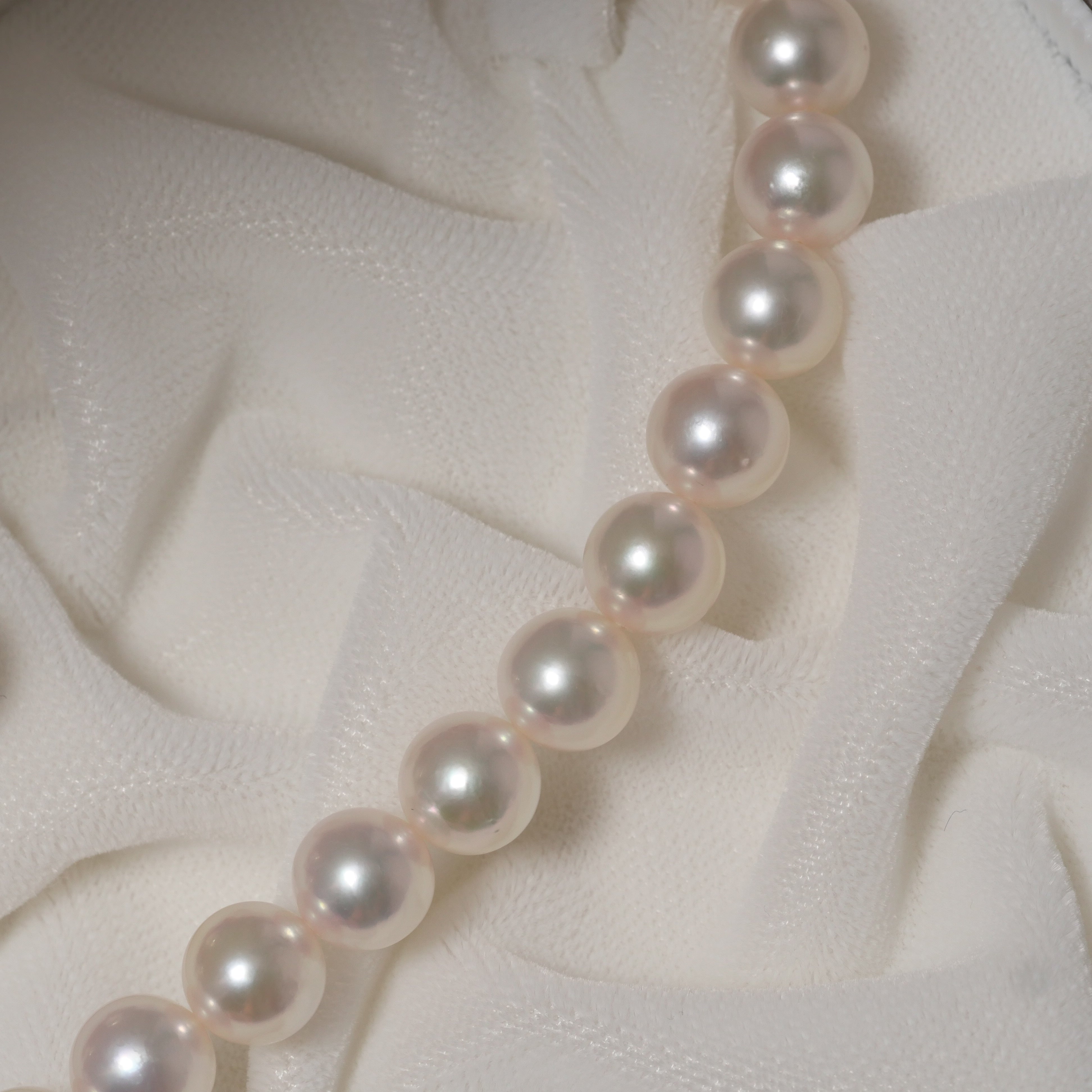 パール ネックレス 7.5-8mm