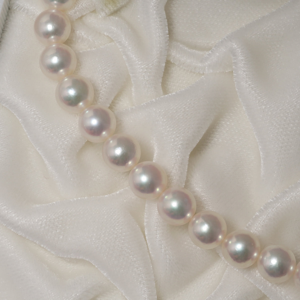 パール ネックレス 7.5-8mm