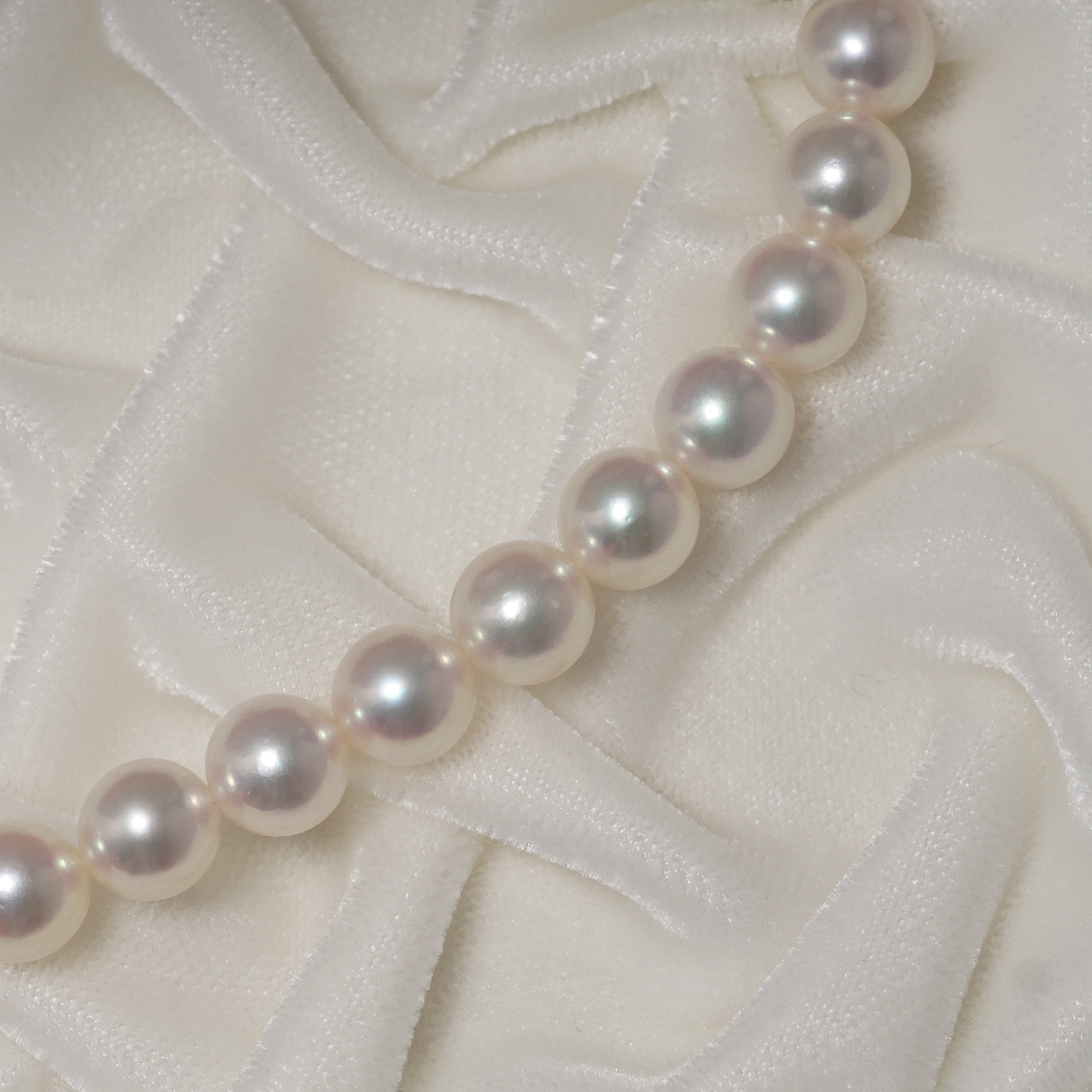 パール ネックレス 7.5-8mm