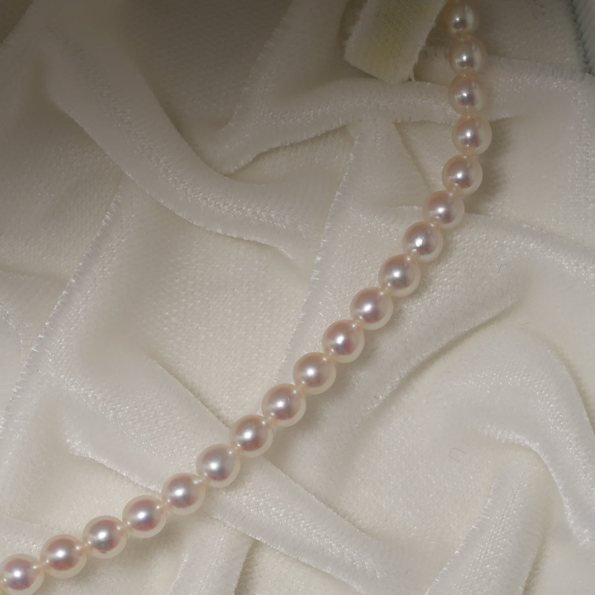 パール ネックレス 4-4.5mm