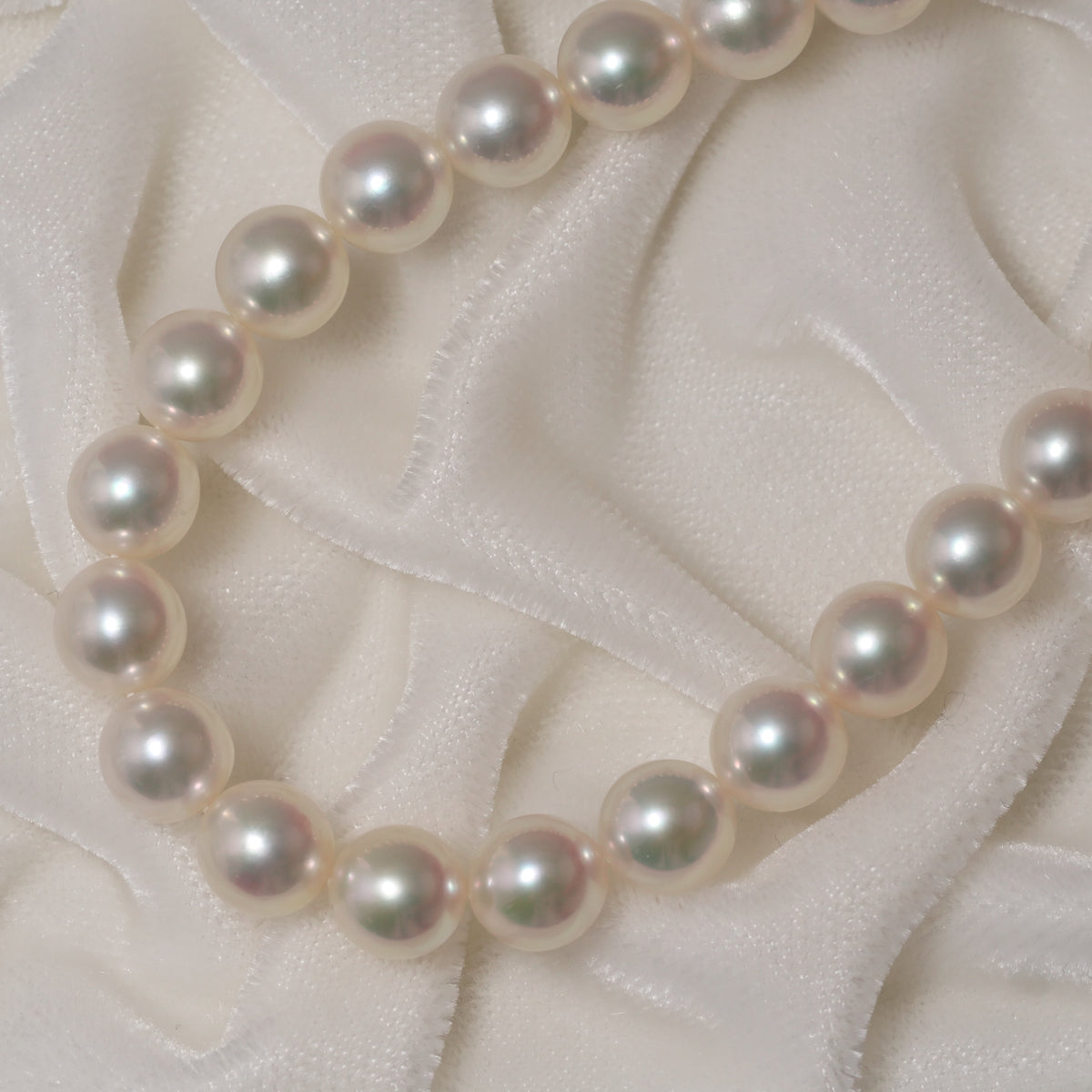 パール ネックレス 7-7.5mm