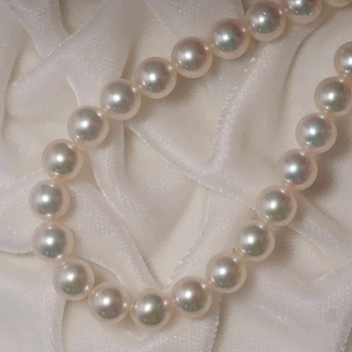 パール ネックレス 7-7.5mm