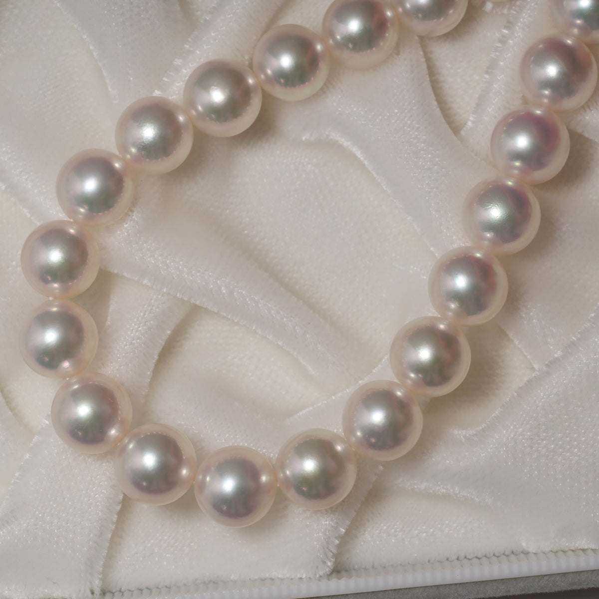 パール ネックレス 8-8.5mm