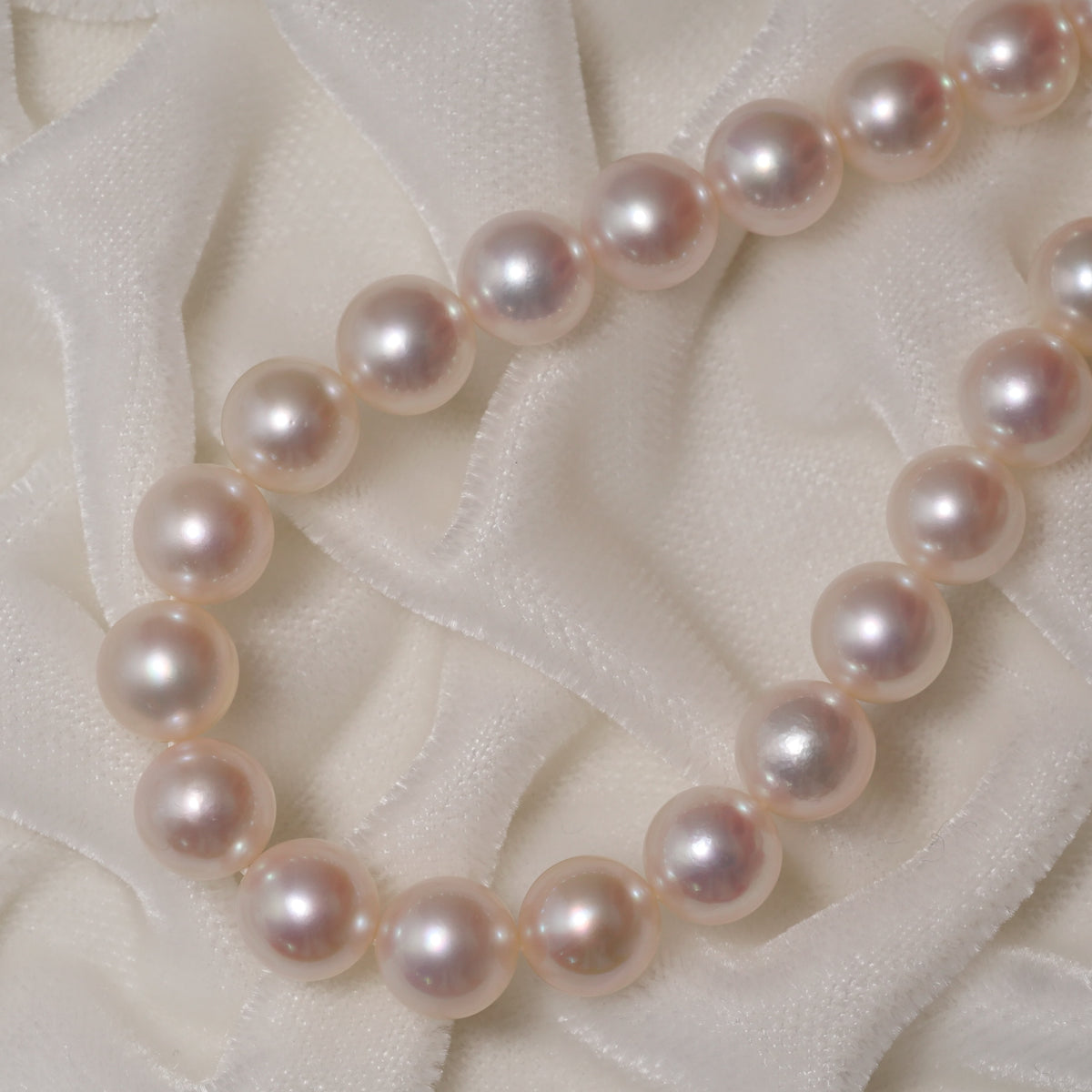 パール ネックレス 7.5-8mm